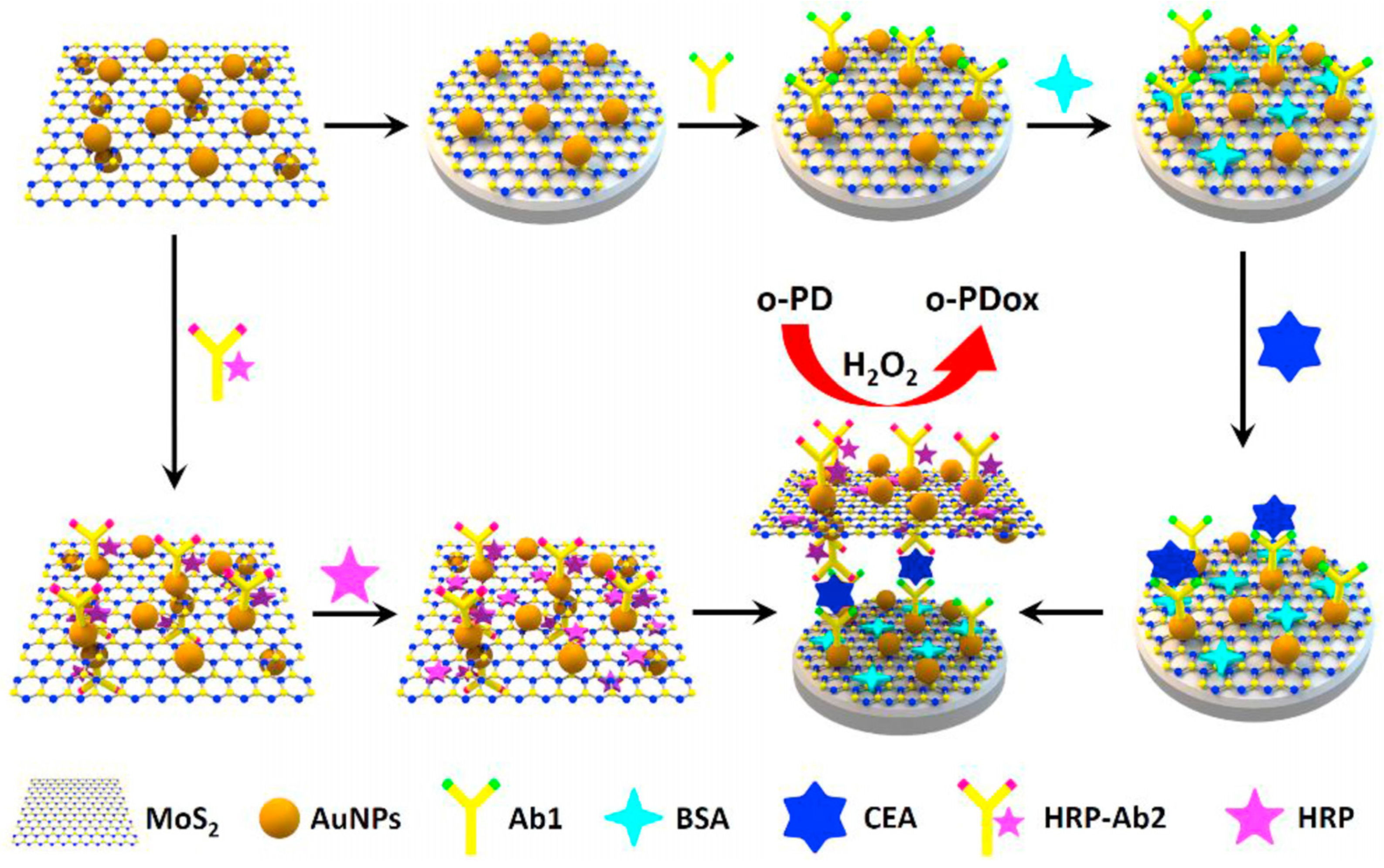 Biosensors 13 00091 g015 Biosensors 13 00091 g015
