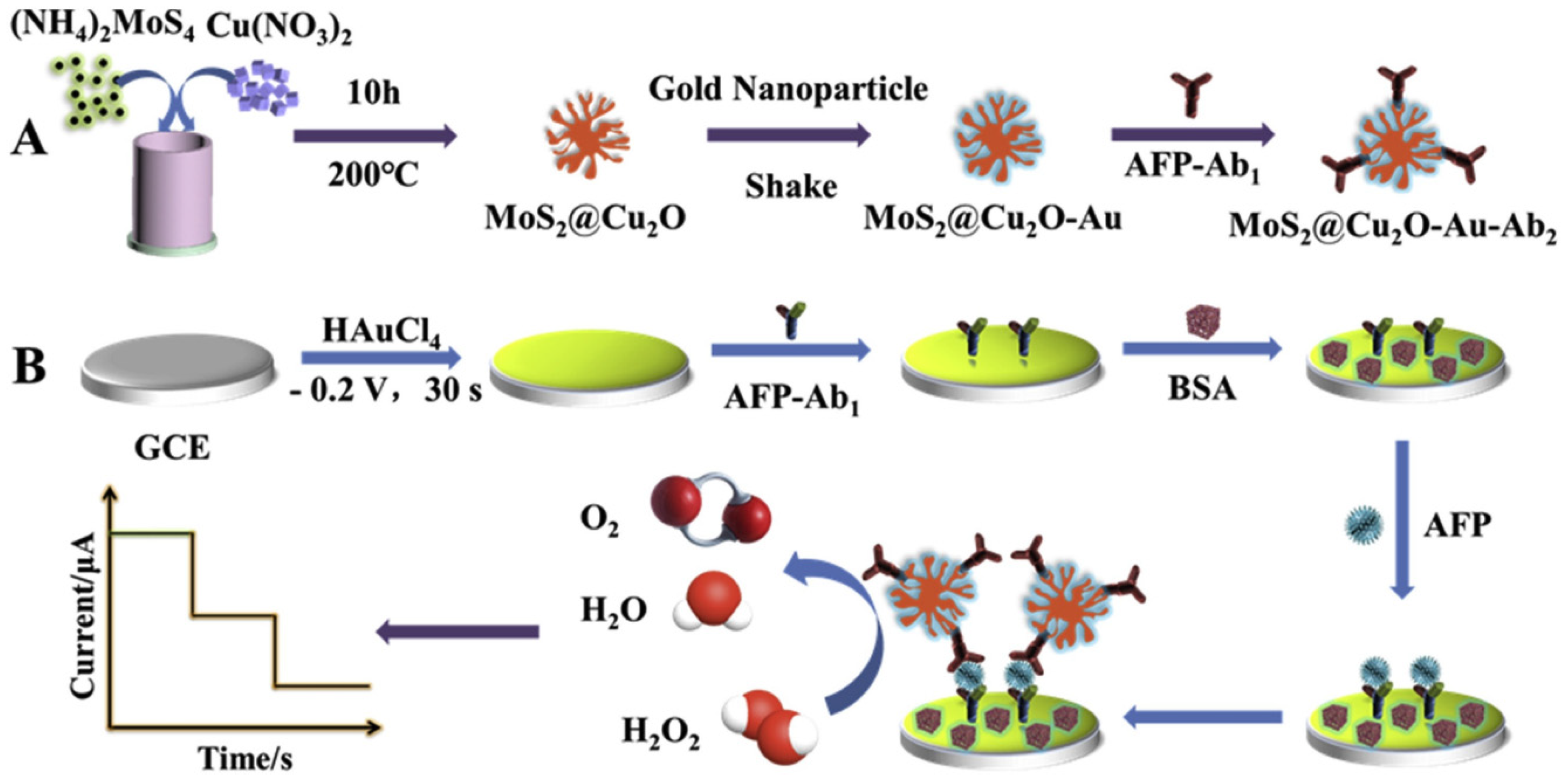 Biosensors 13 00091 g016 Biosensors 13 00091 g016