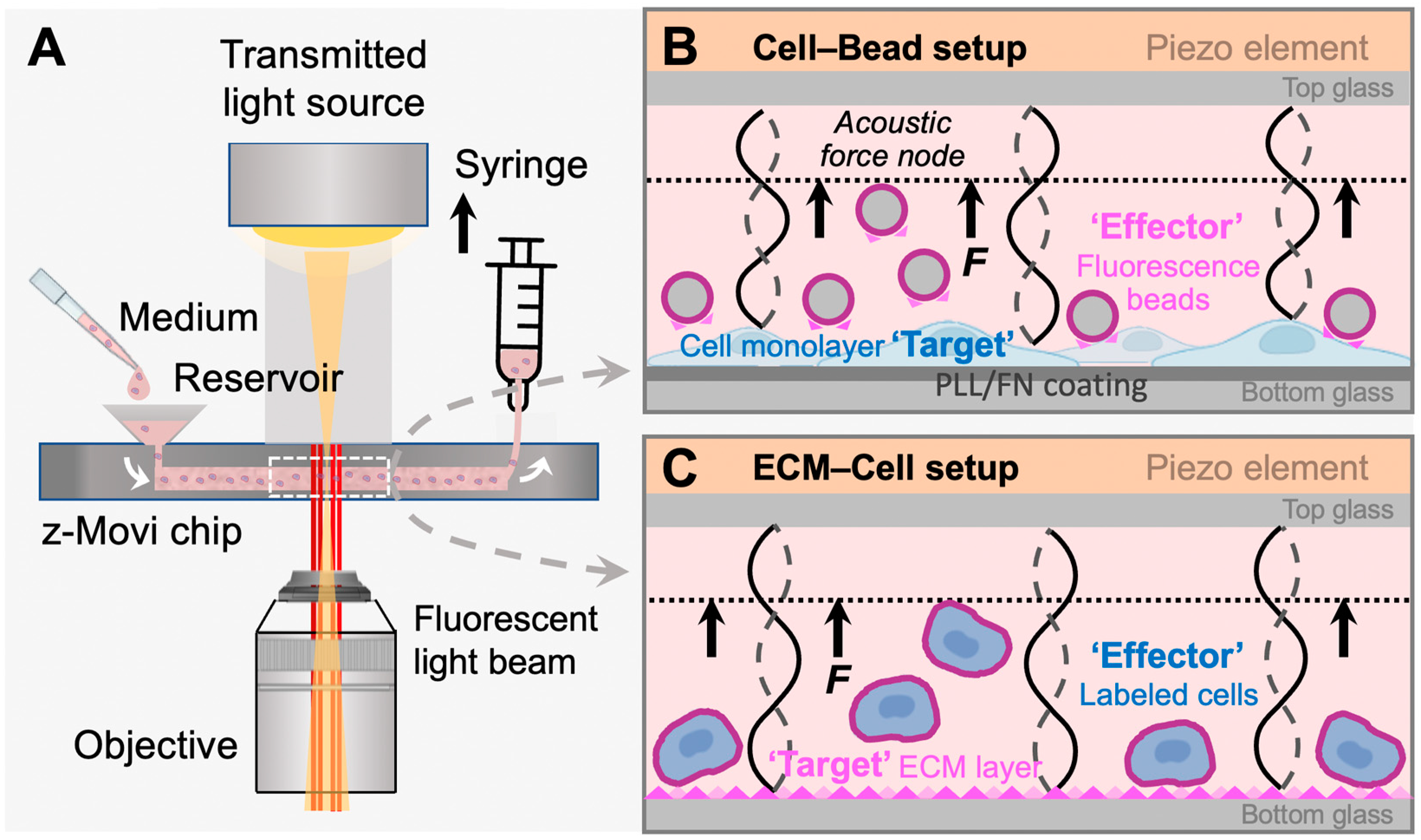Biosensors 13 00095 g001
