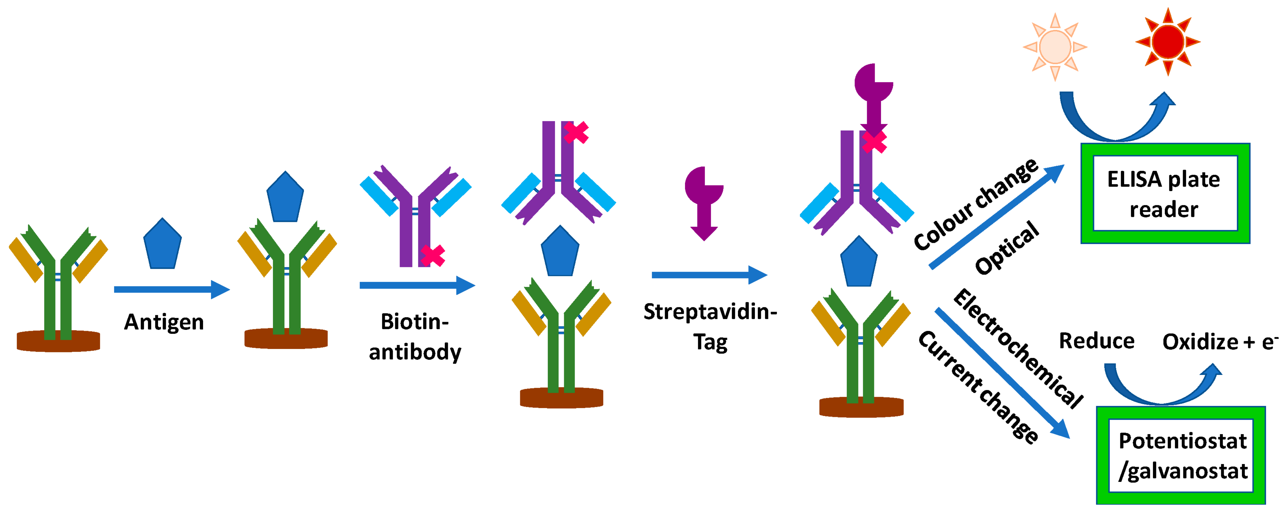 Biosensors 13 00099 g006 Biosensors 13 00099 g006