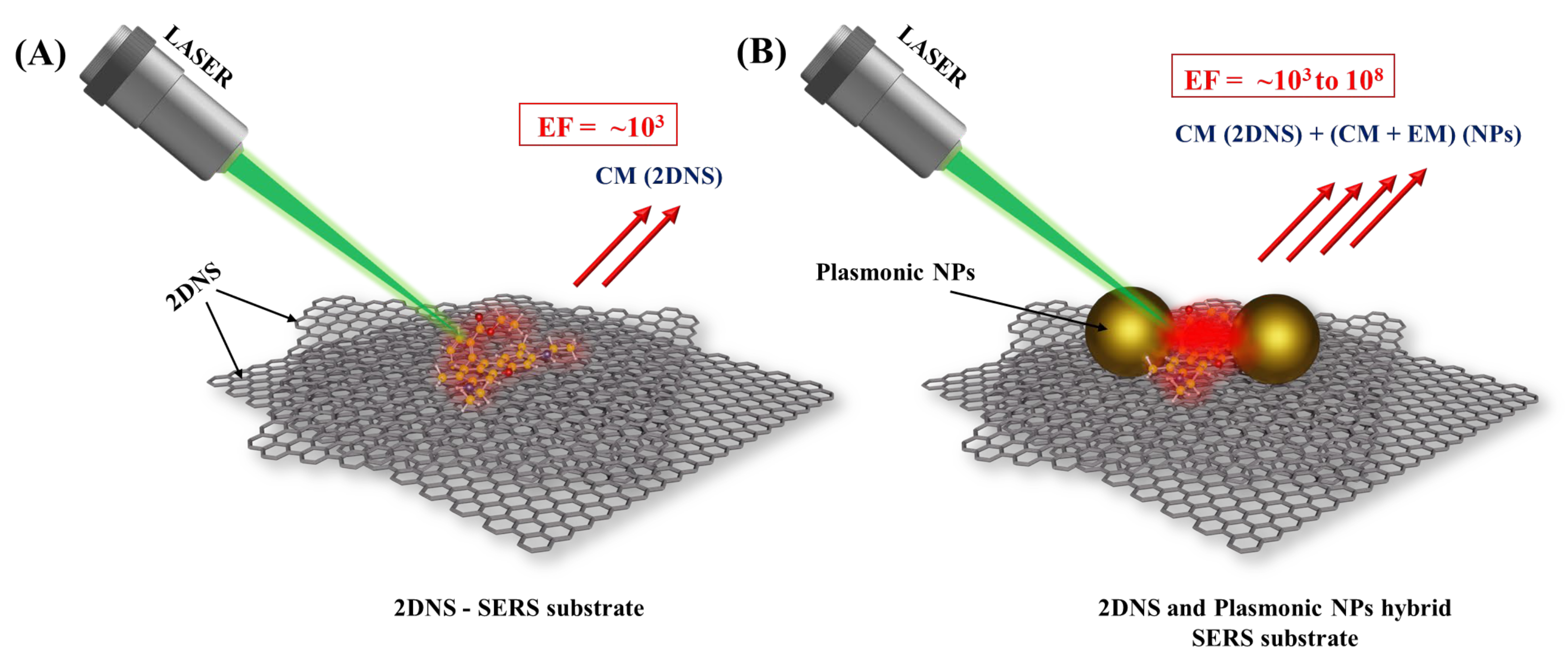 Biosensors 13 00102 g002