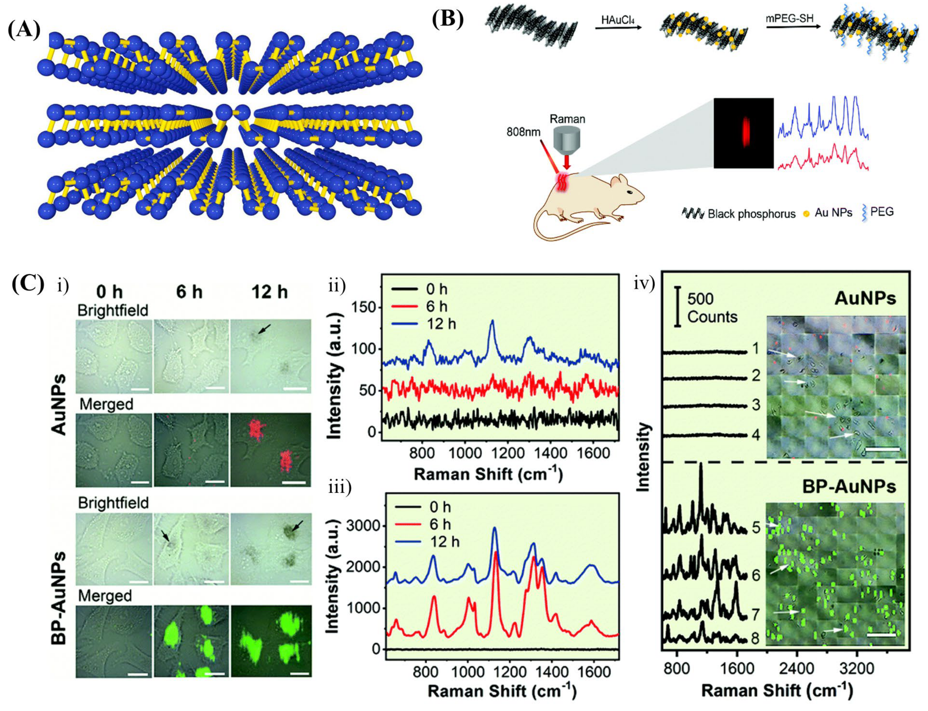 Biosensors 13 00102 g005