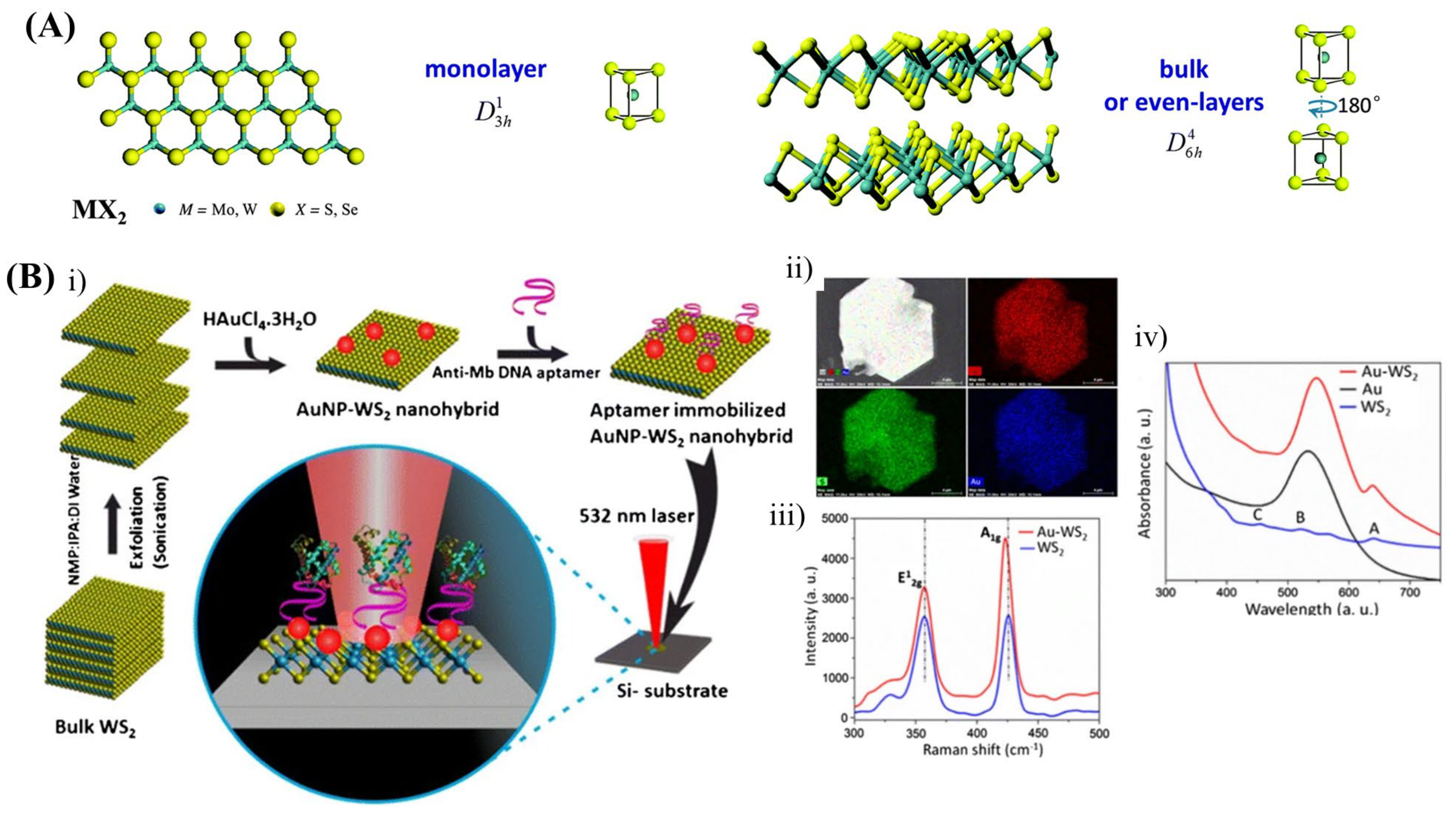 Biosensors 13 00102 g007
