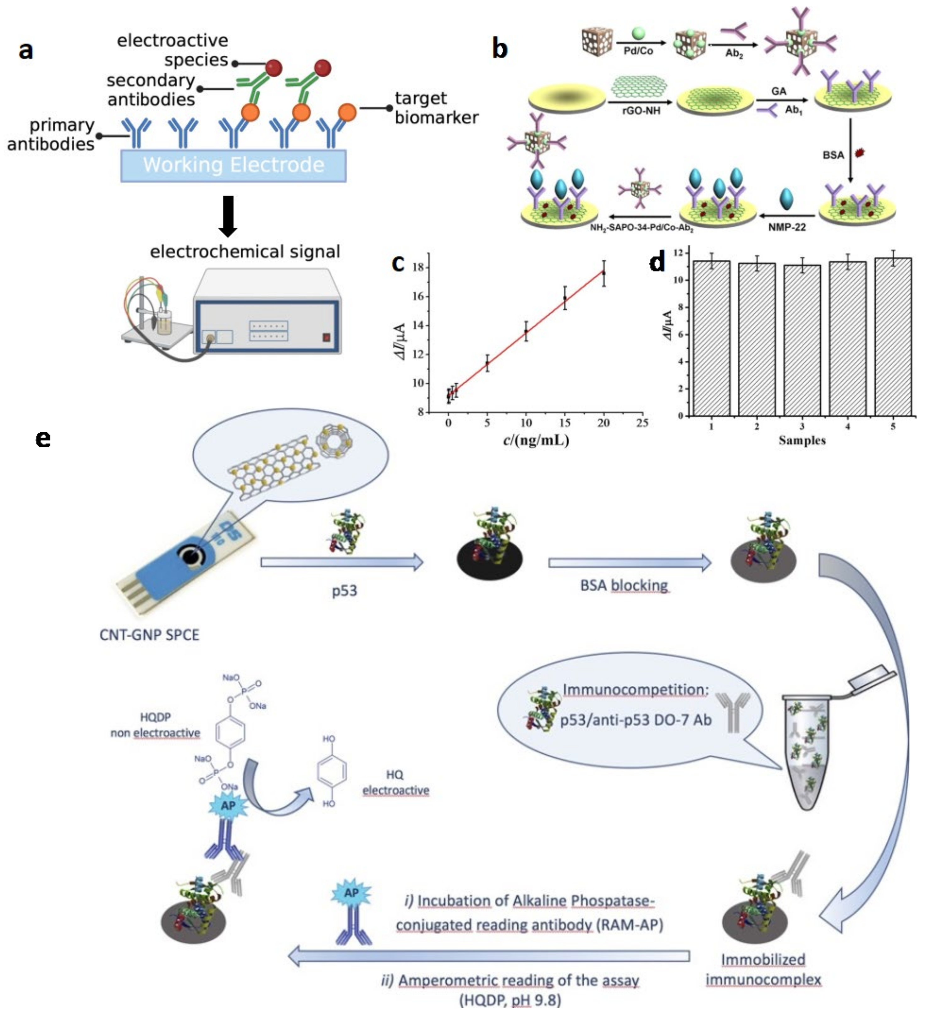 Biosensors 13 00106 g002 Biosensors 13 00106 g002