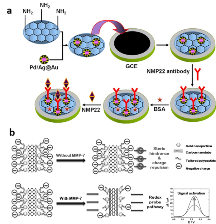Biosensors 13 00106 g003 Biosensors 13 00106 g003