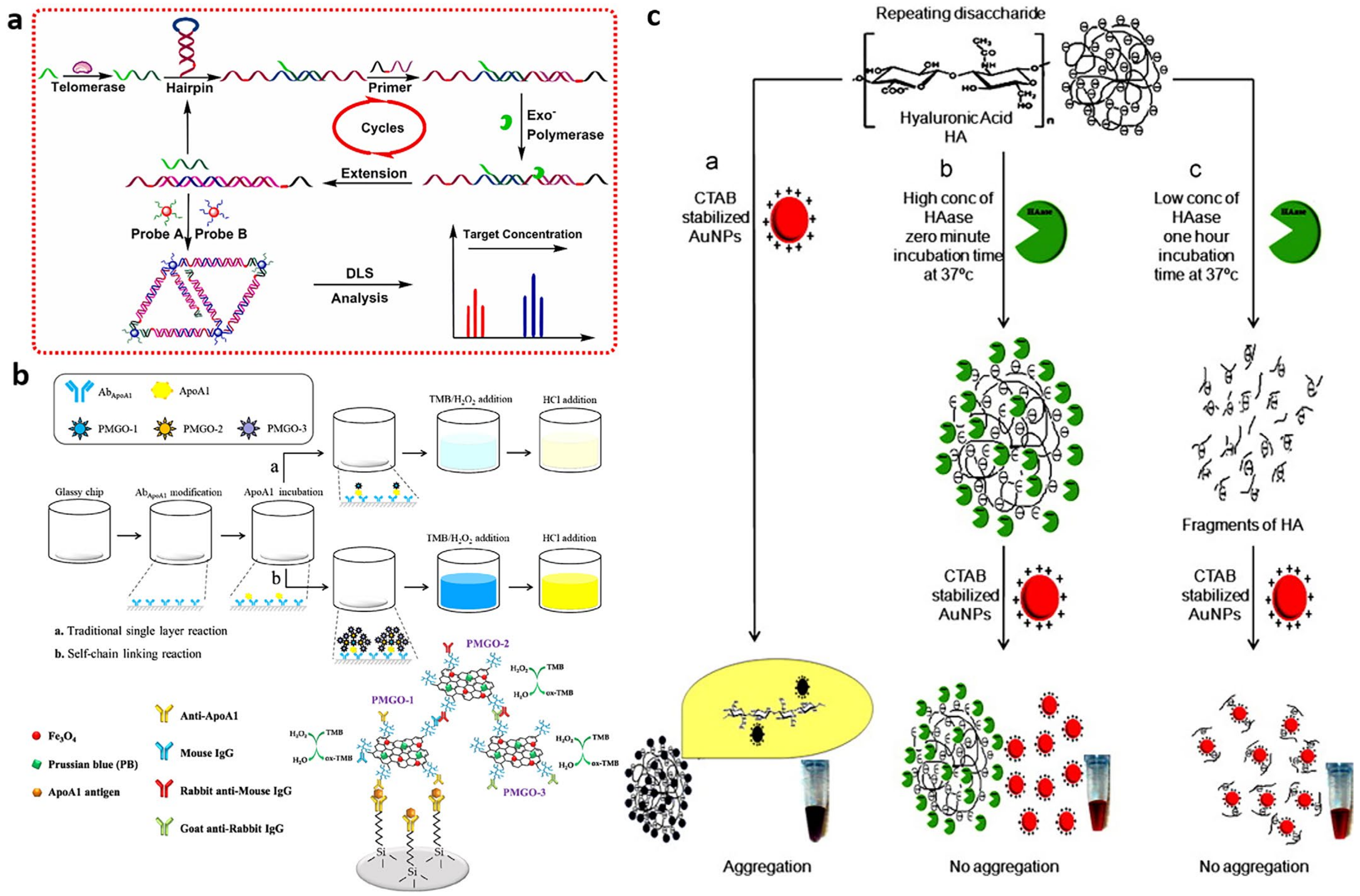Biosensors 13 00106 g006 Biosensors 13 00106 g006