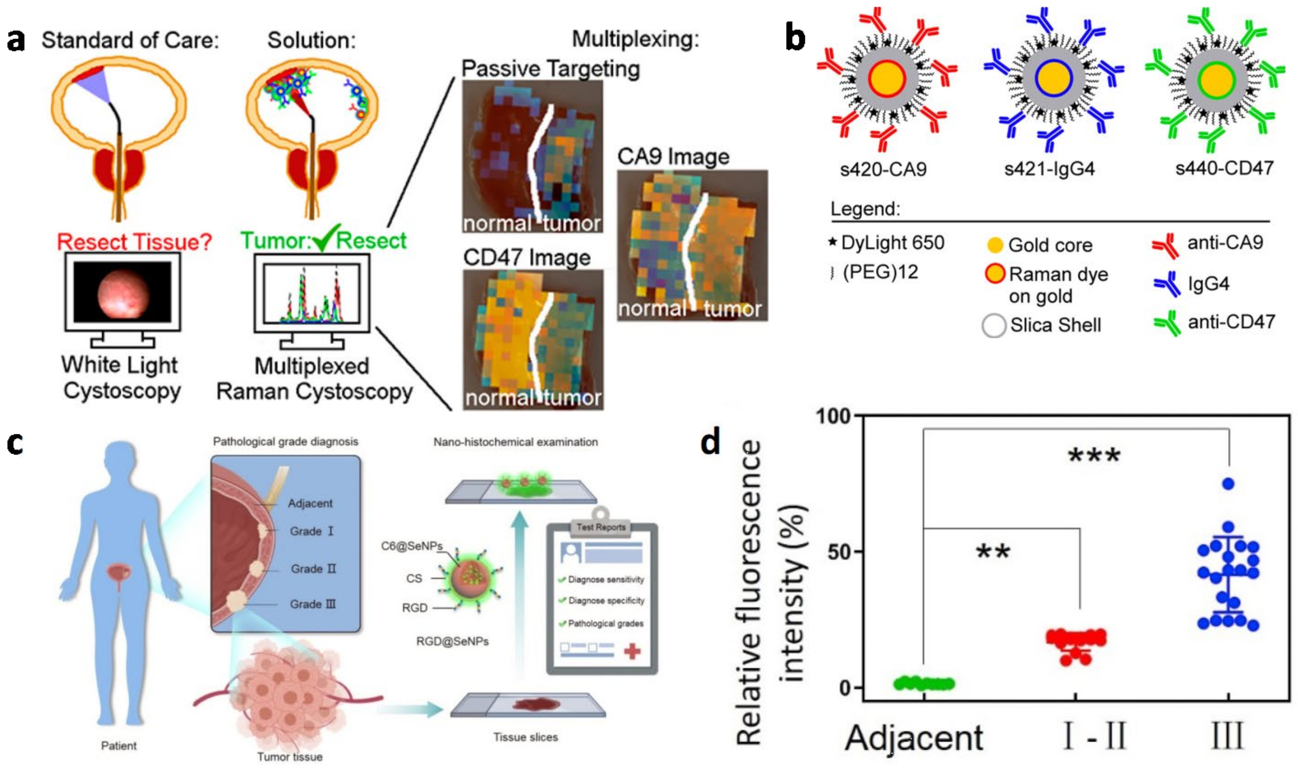 Biosensors 13 00106 g008 Biosensors 13 00106 g008