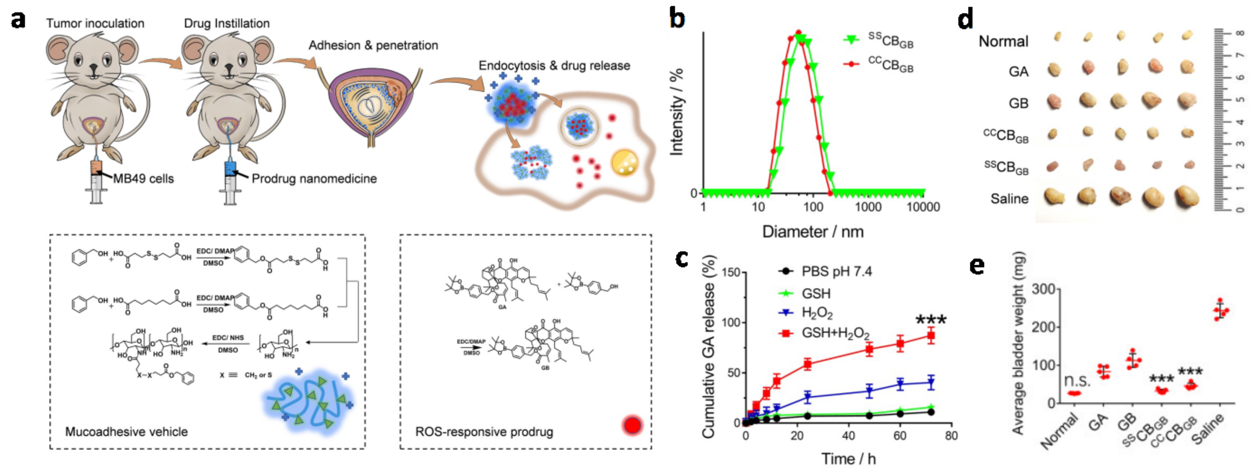Biosensors 13 00106 g009 Biosensors 13 00106 g009