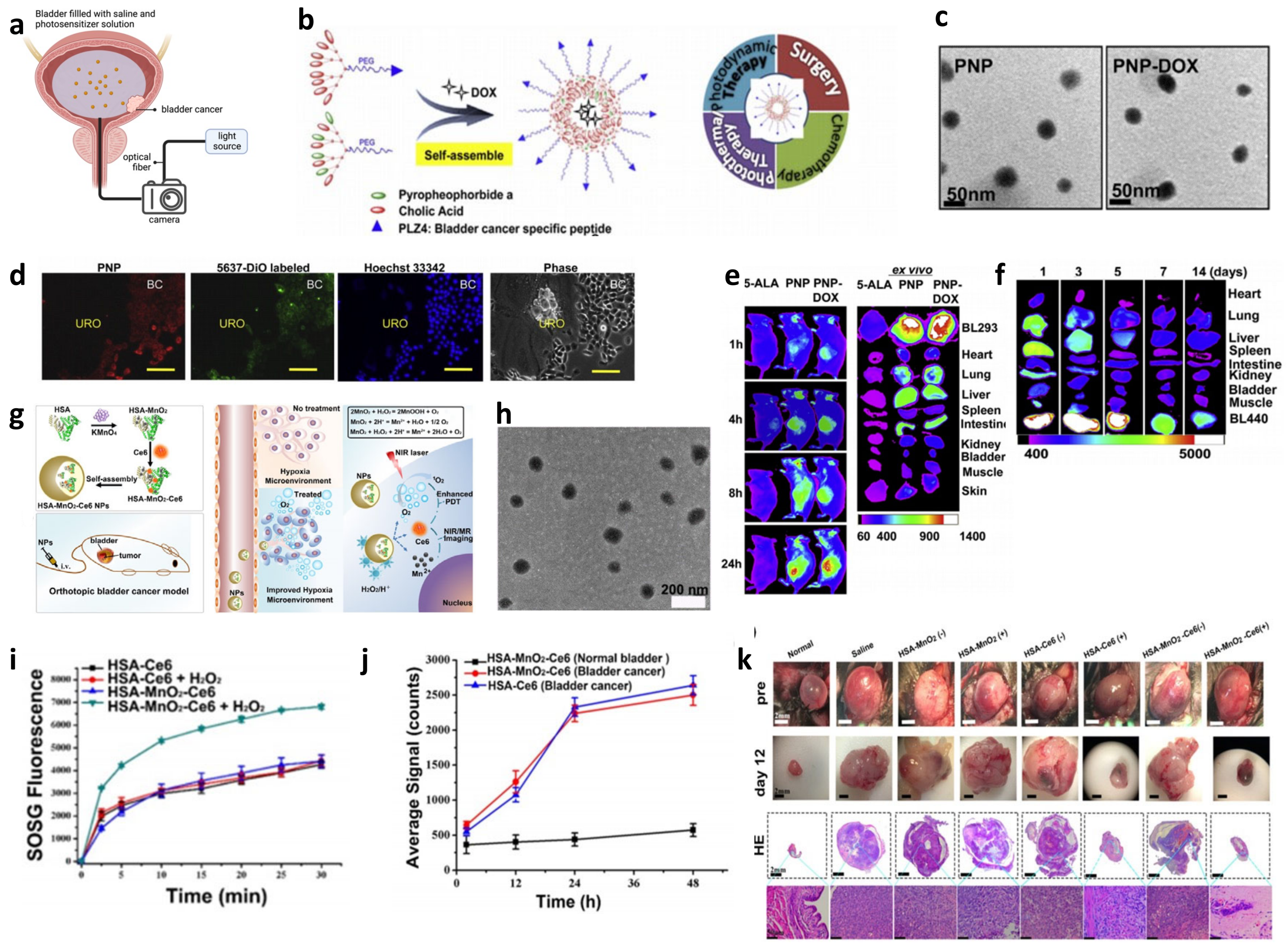Biosensors 13 00106 g012 Biosensors 13 00106 g012
