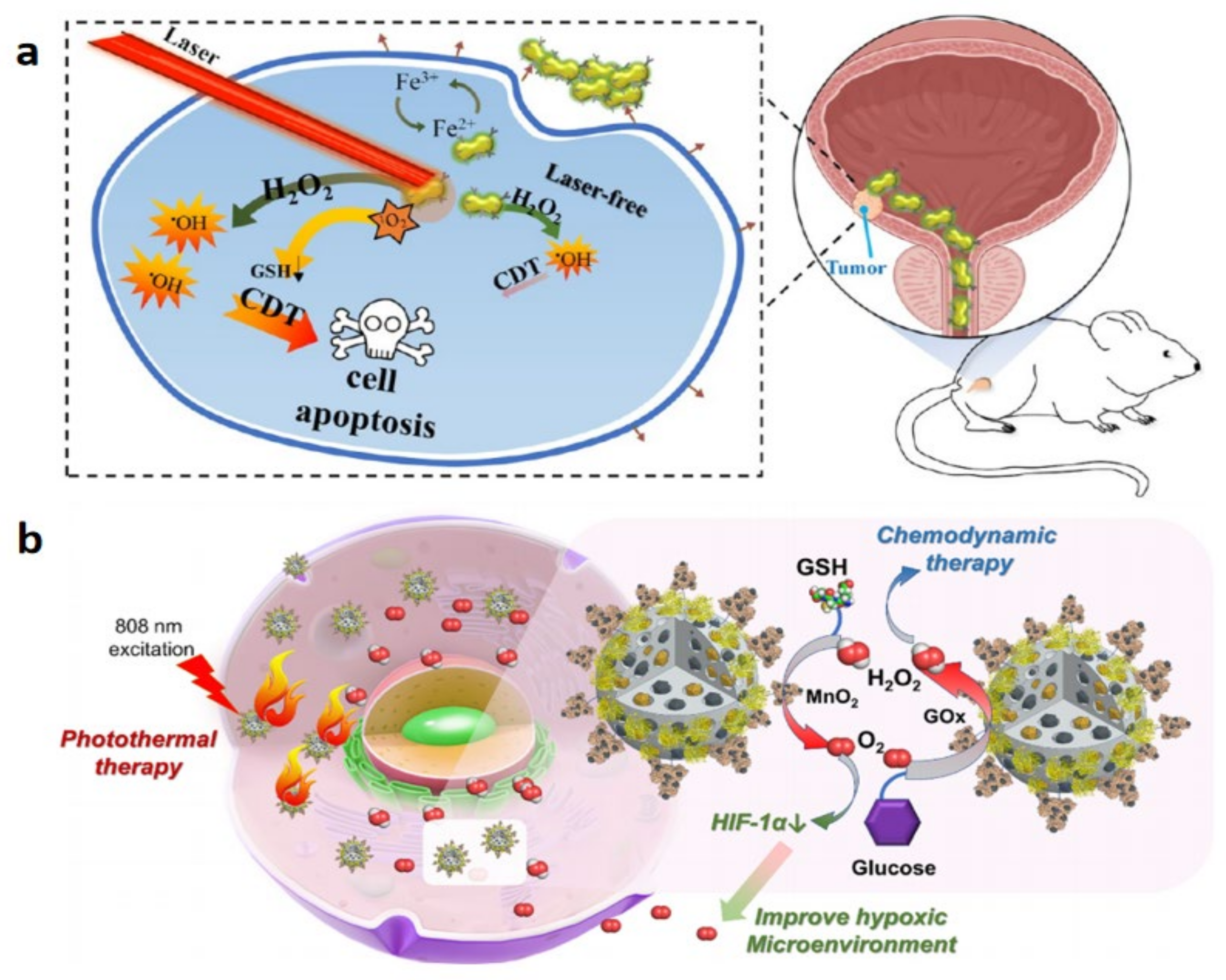 Biosensors 13 00106 g014 Biosensors 13 00106 g014