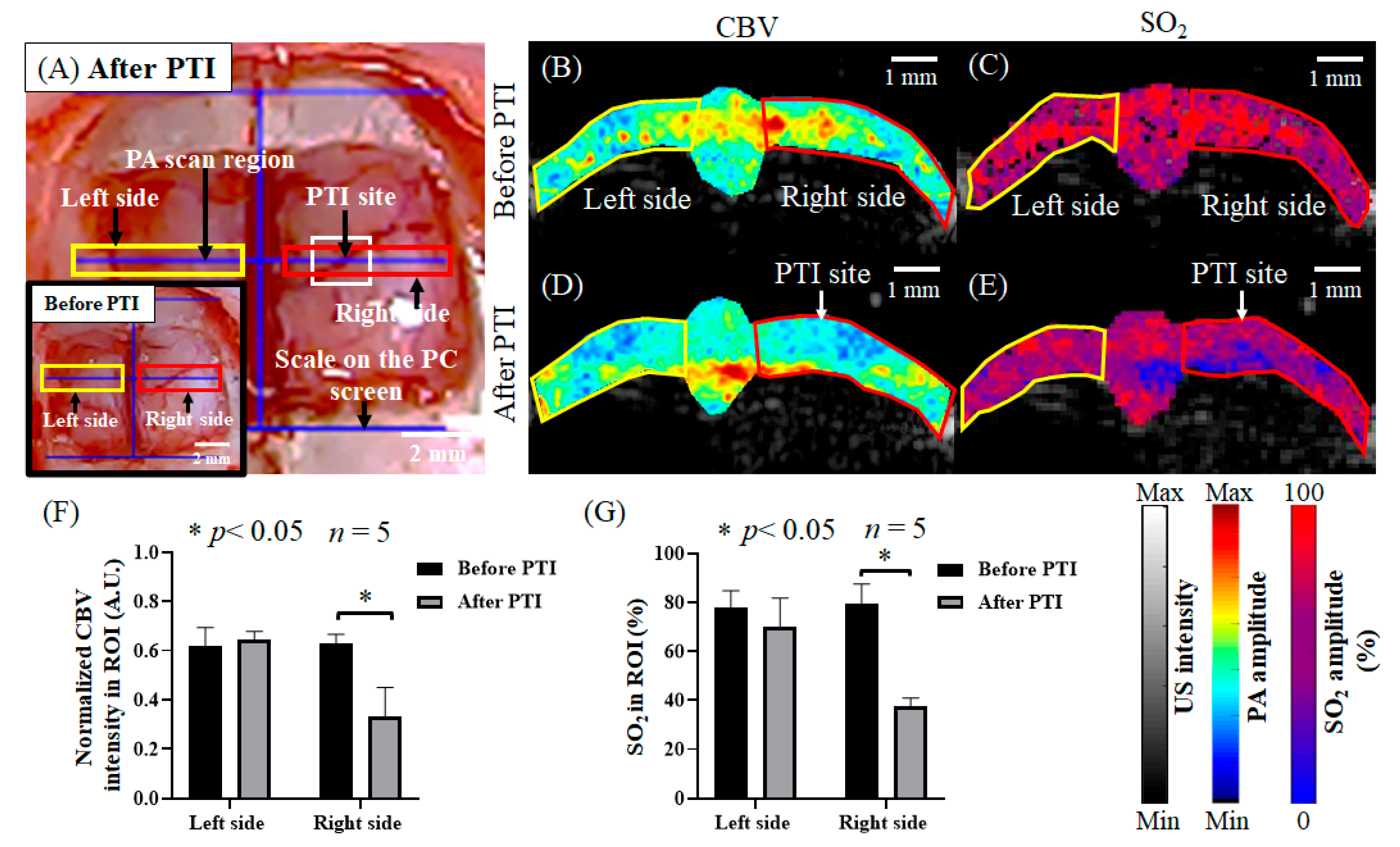 Biosensors 13 00107 g004