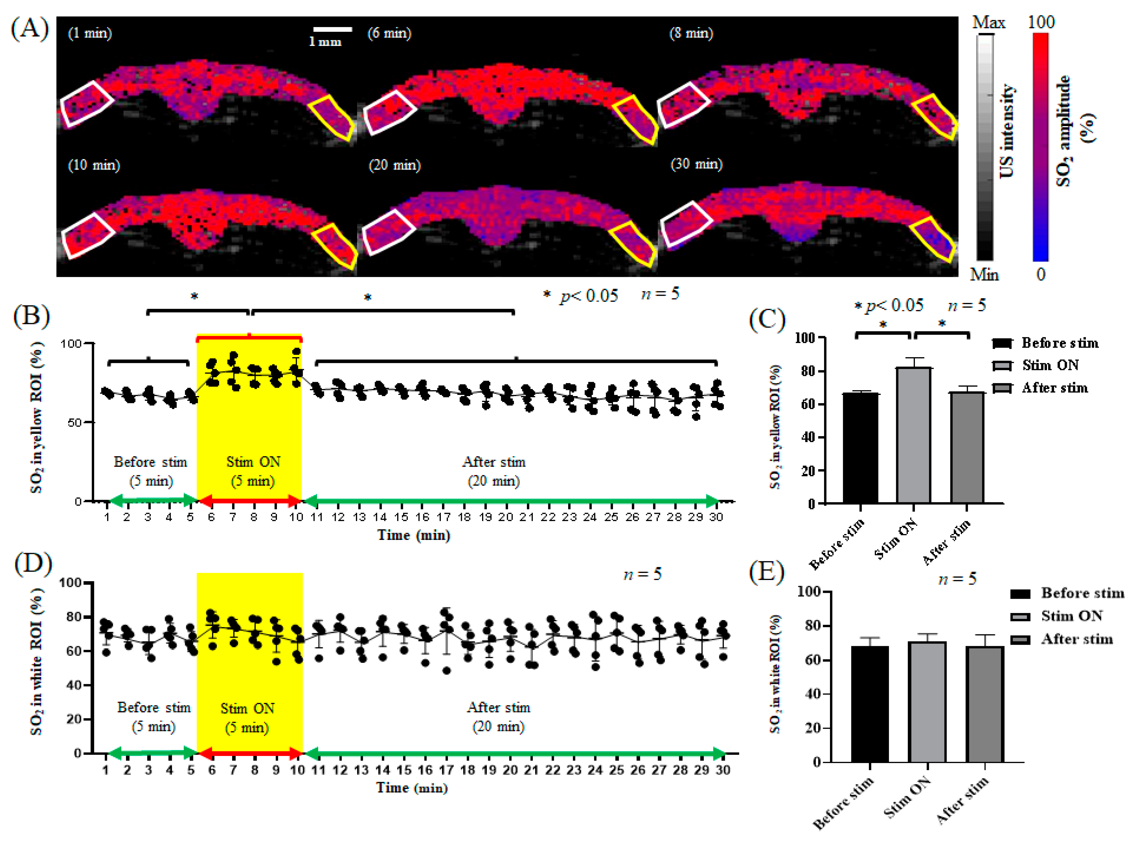 Biosensors 13 00107 g006