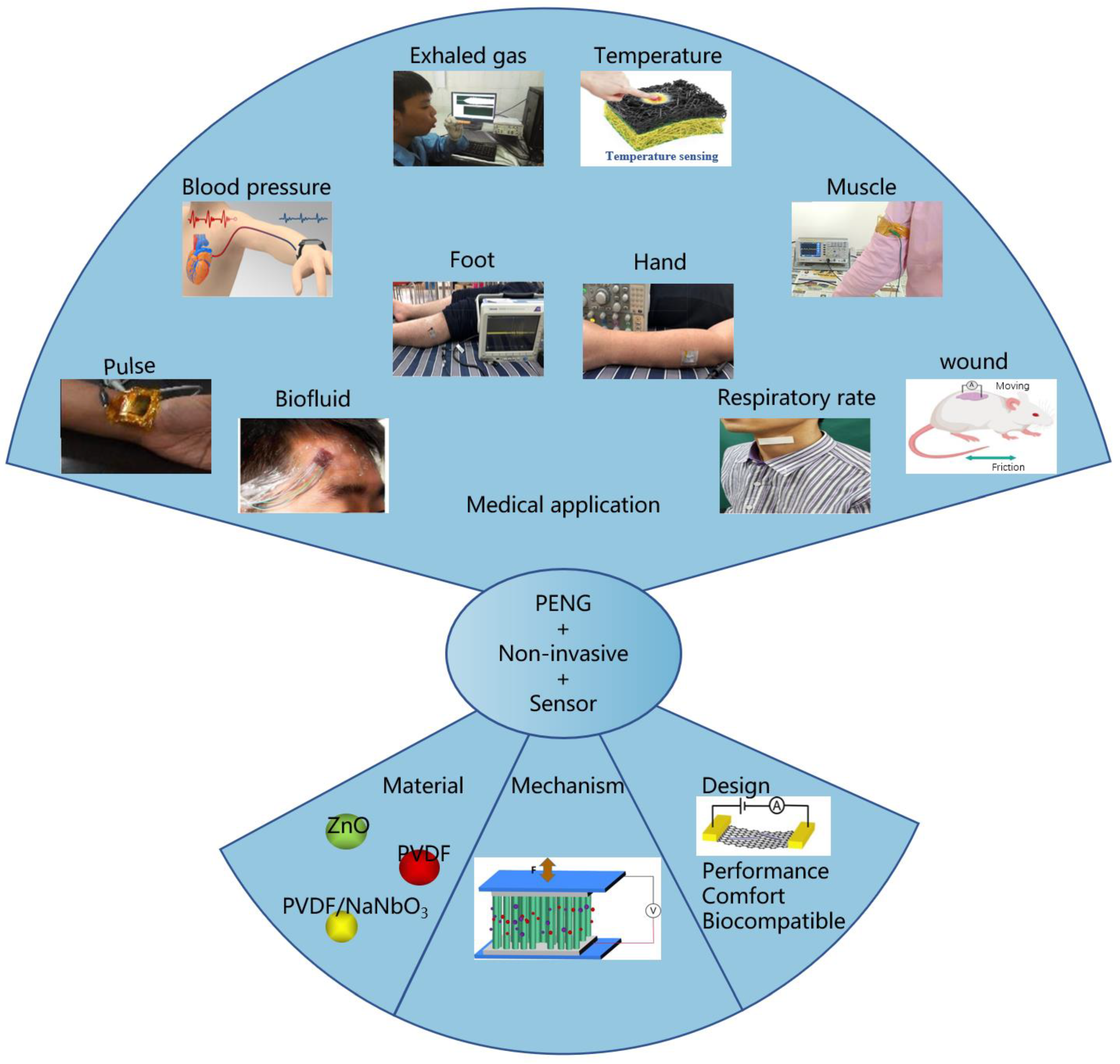 Biosensors 13 00113 g001