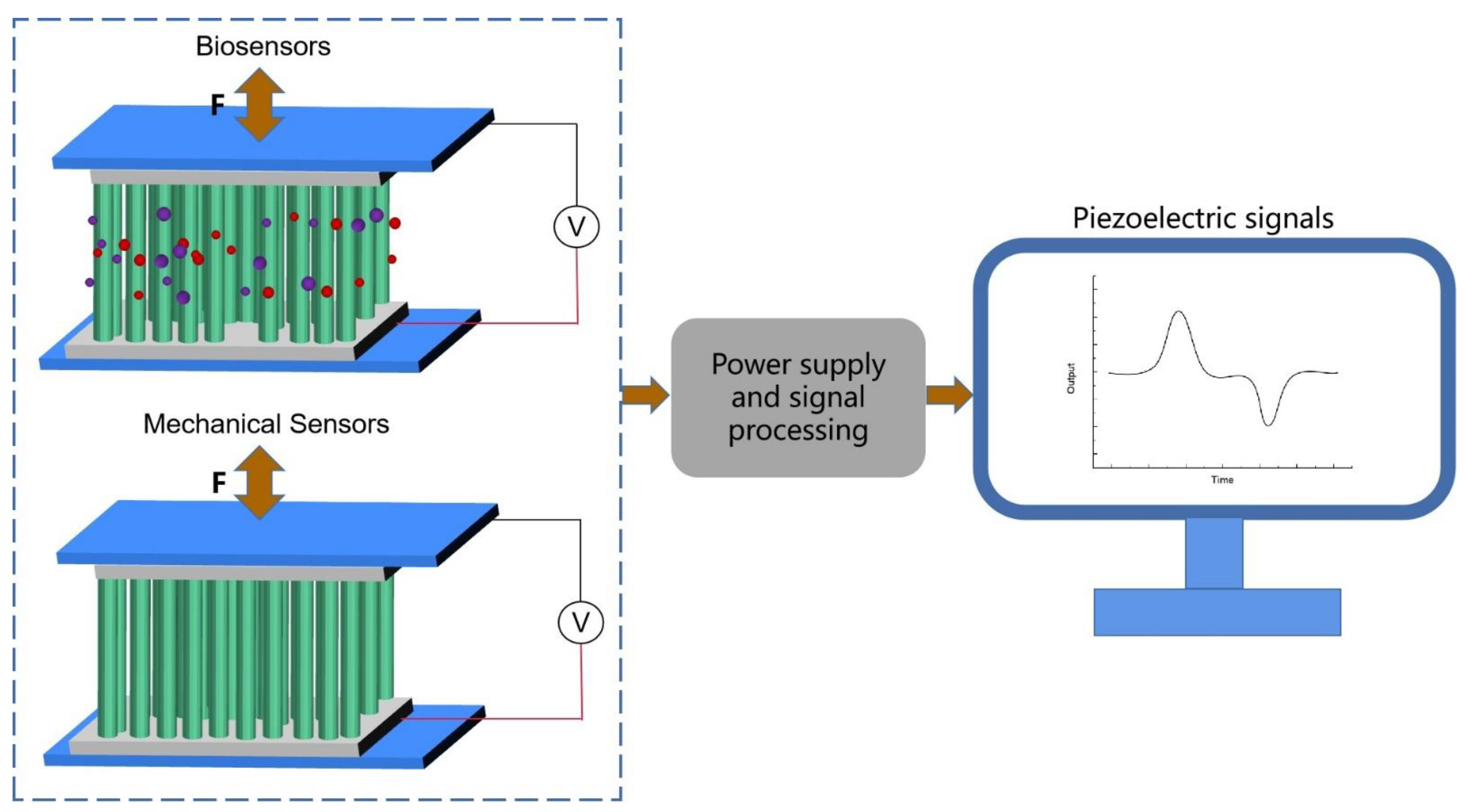 Biosensors 13 00113 g003