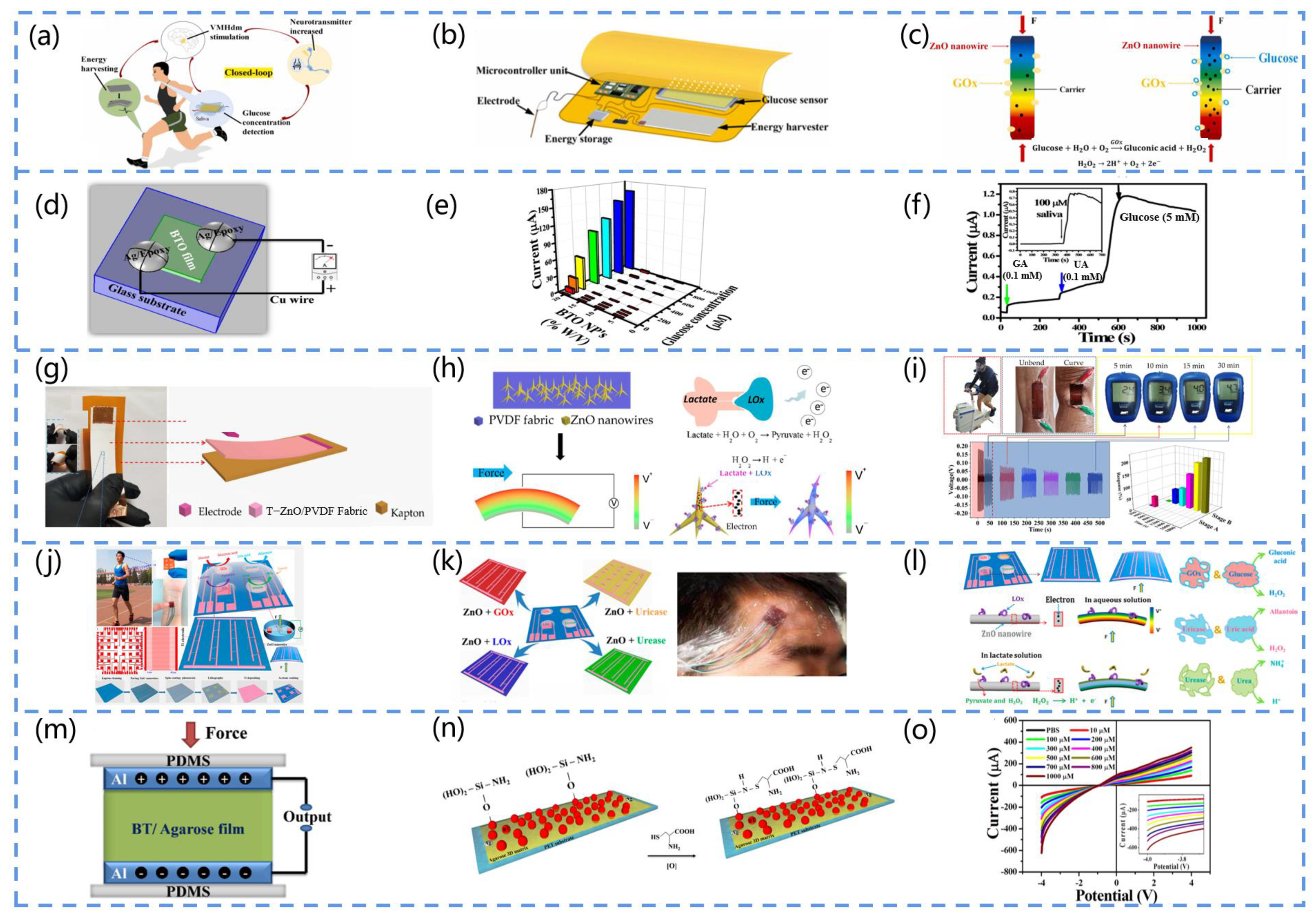 Biosensors 13 00113 g009