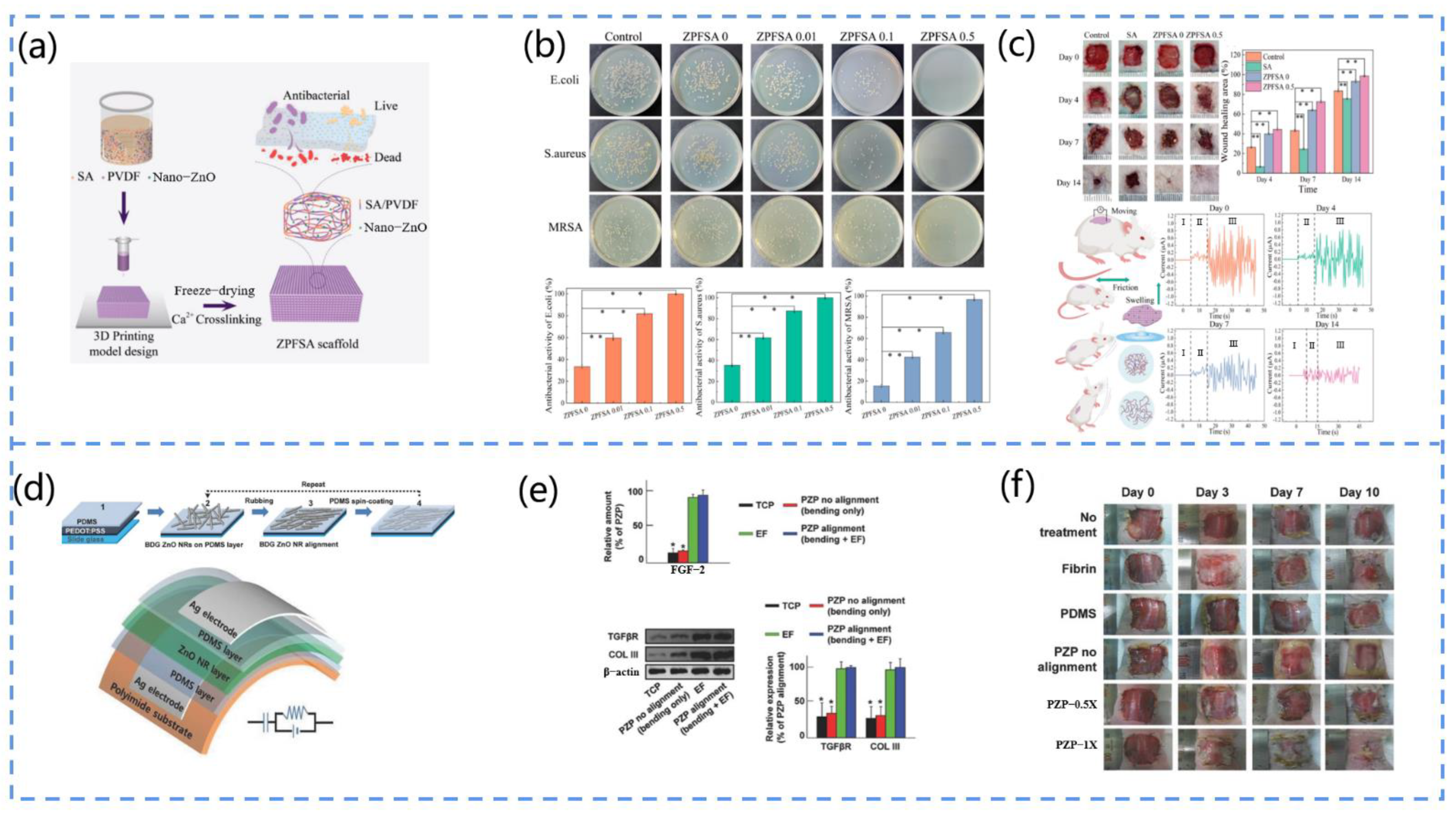 Biosensors 13 00113 g013