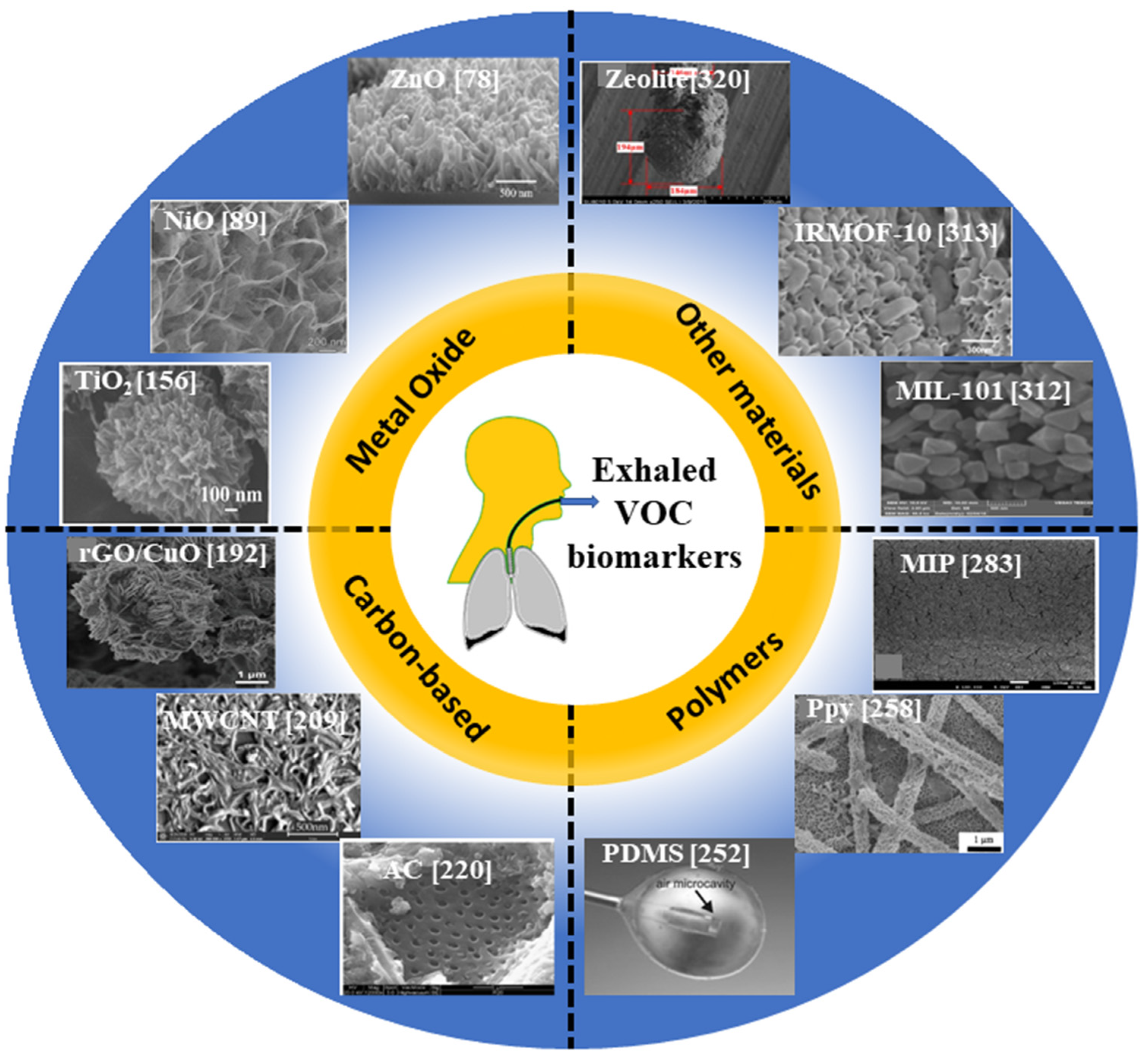 Biosensors, Free Full-Text