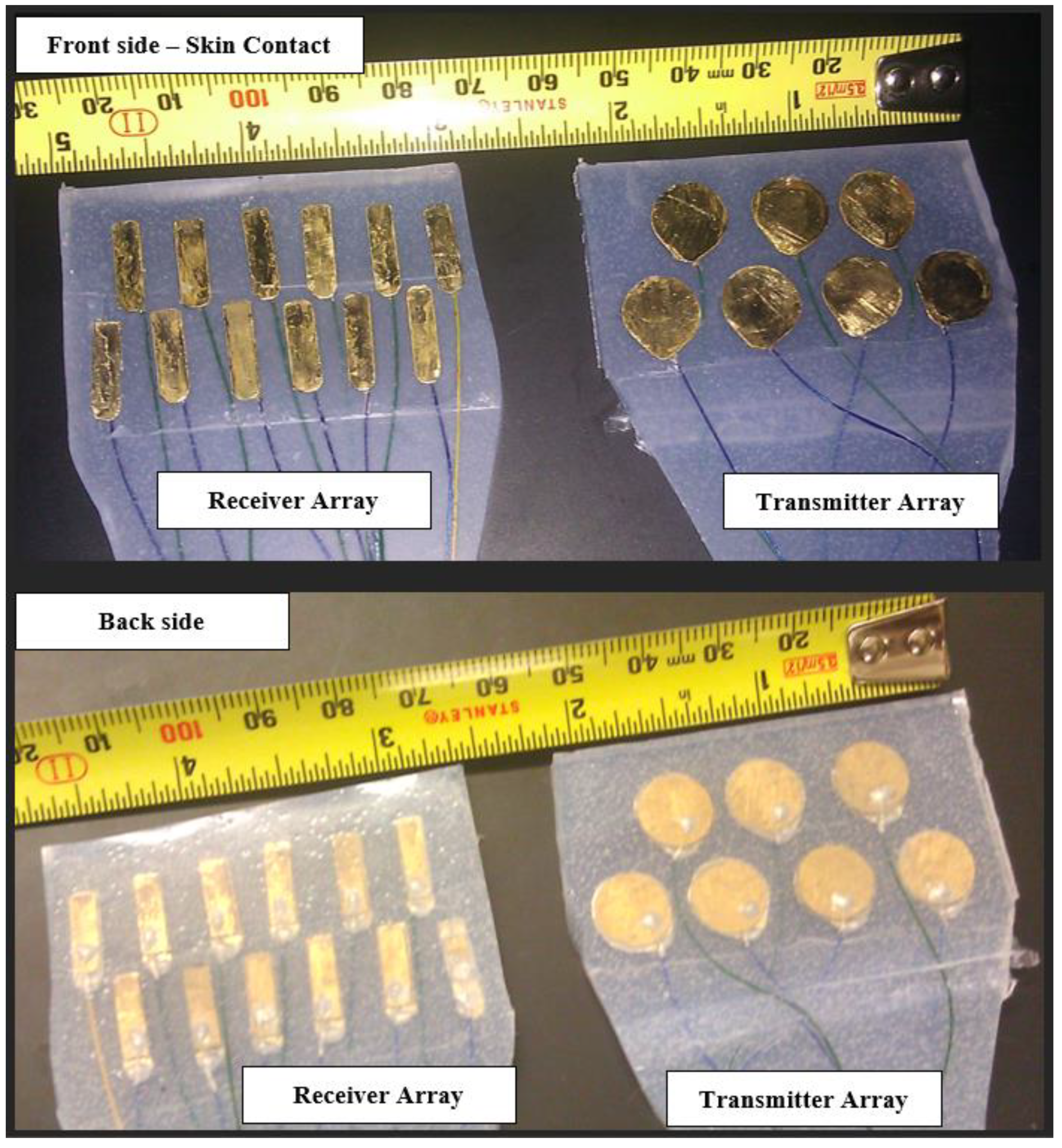 Biosensors 13 00121 g002 Biosensors 13 00121 g002