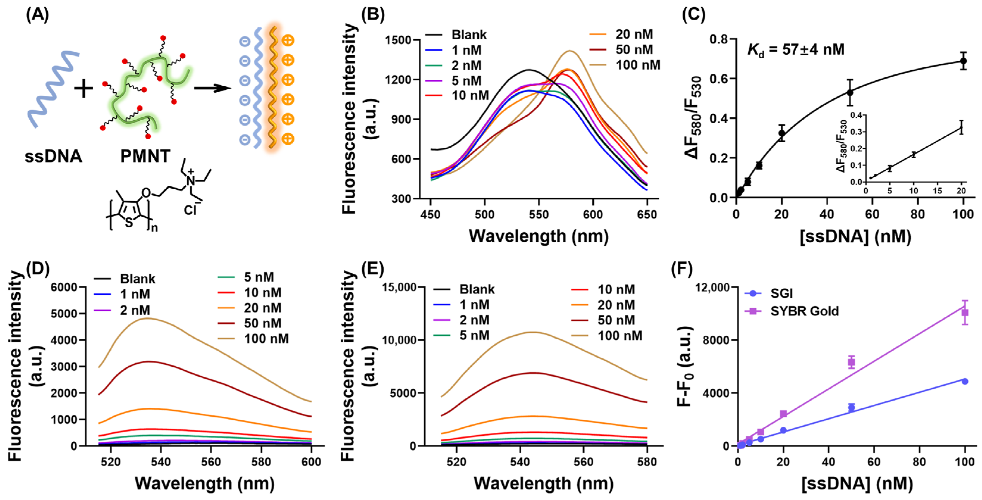 Biosensors 13 00122 g001 Biosensors 13 00122 g001