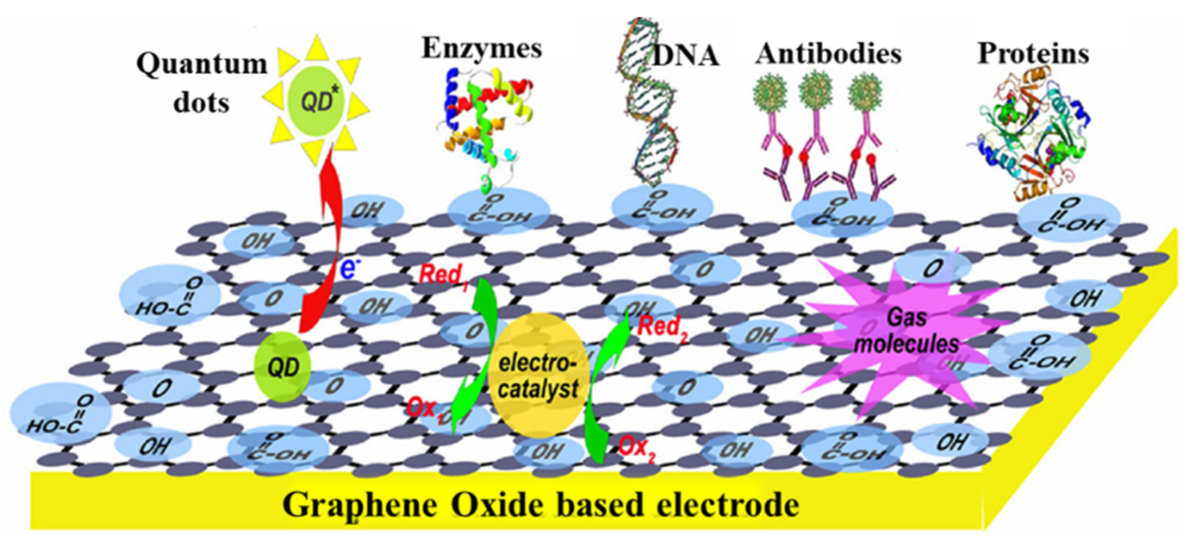 Biosensors 13 00125 g009 Biosensors 13 00125 g009
