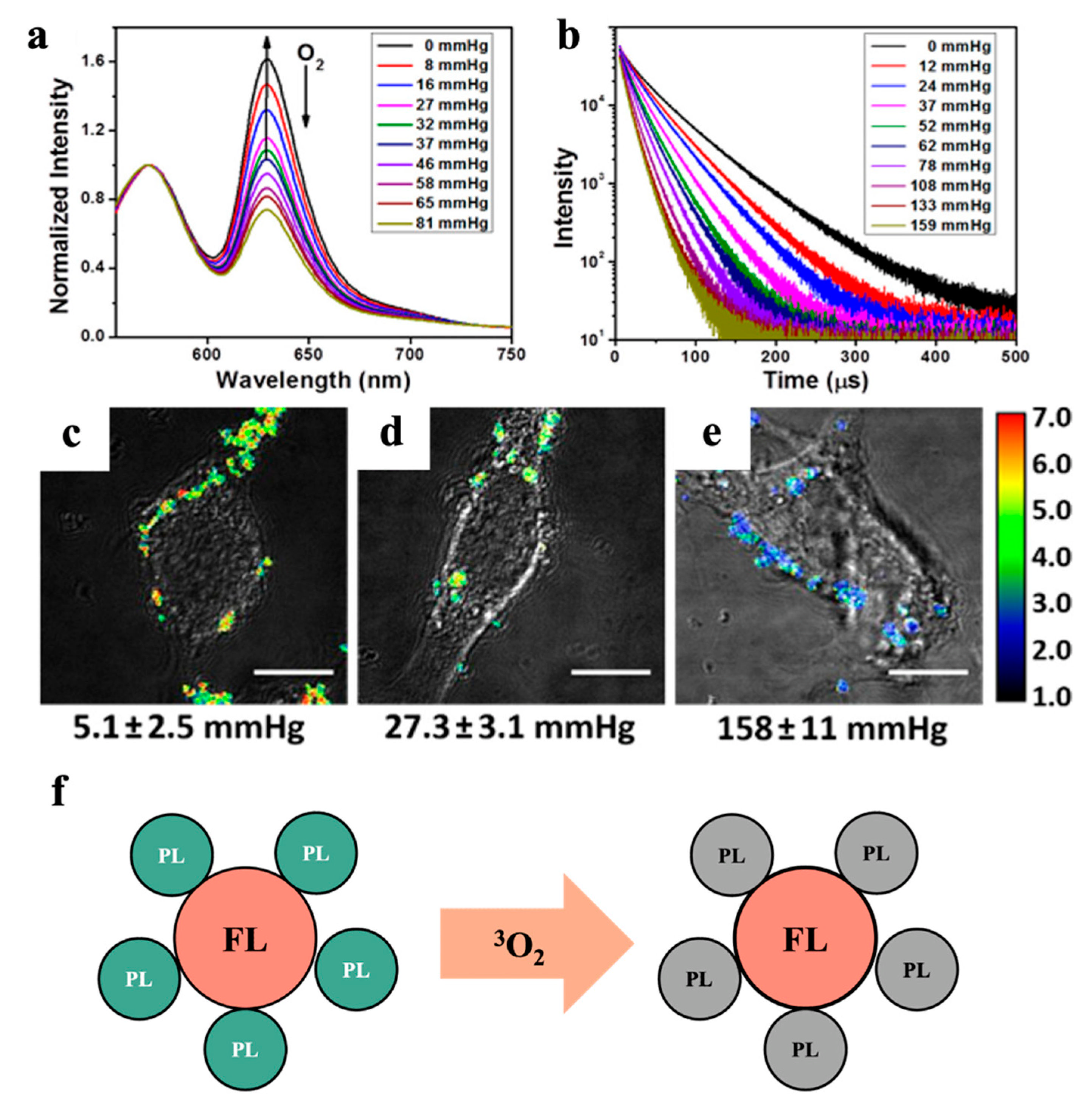 Biosensors 13 00128 g004 Biosensors 13 00128 g004