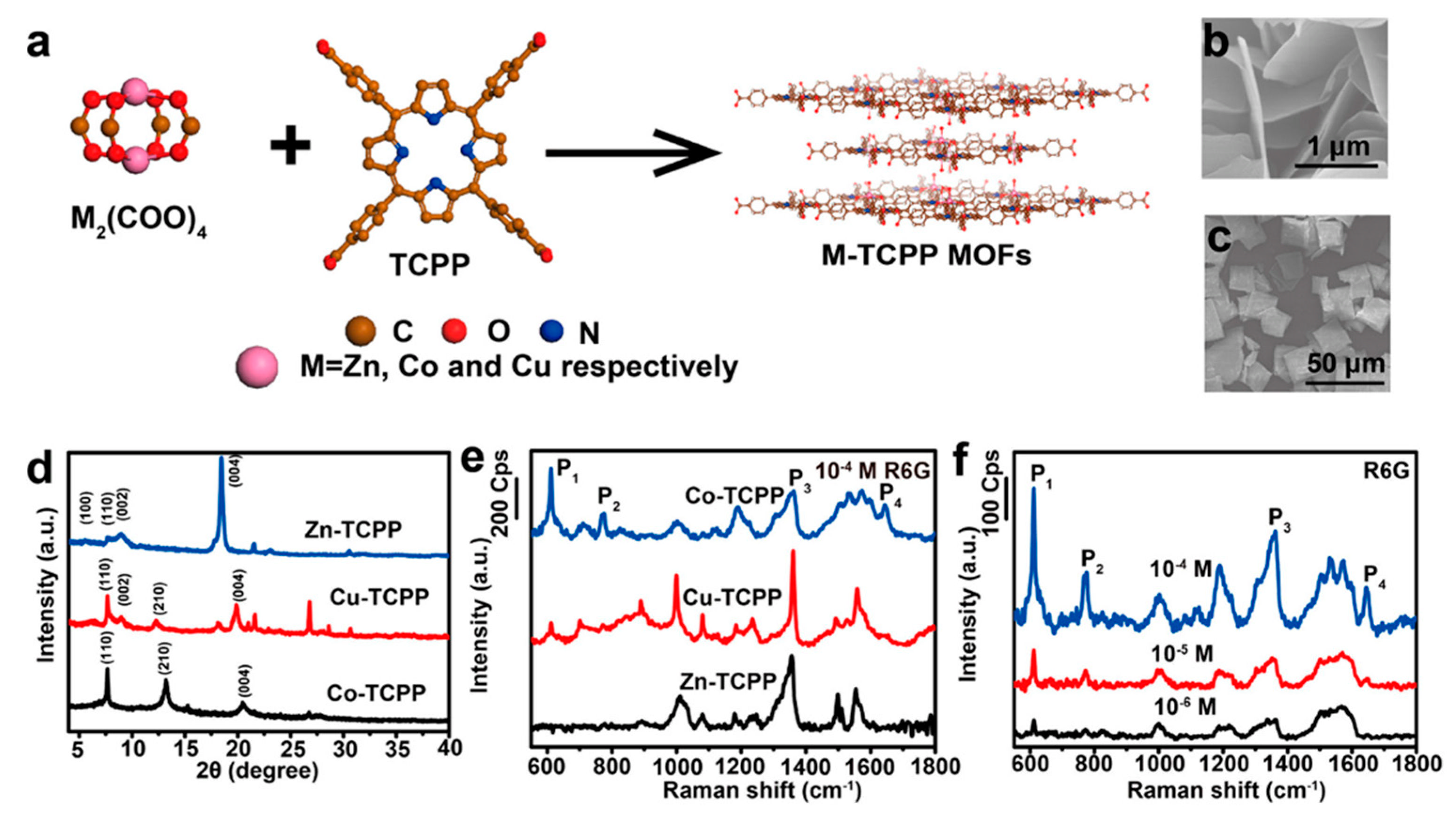 Biosensors 13 00128 g006 Biosensors 13 00128 g006