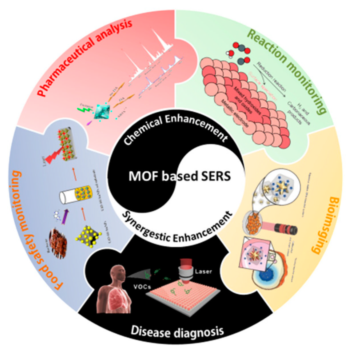 Biosensors 13 00128 sch001 Biosensors 13 00128 sch001