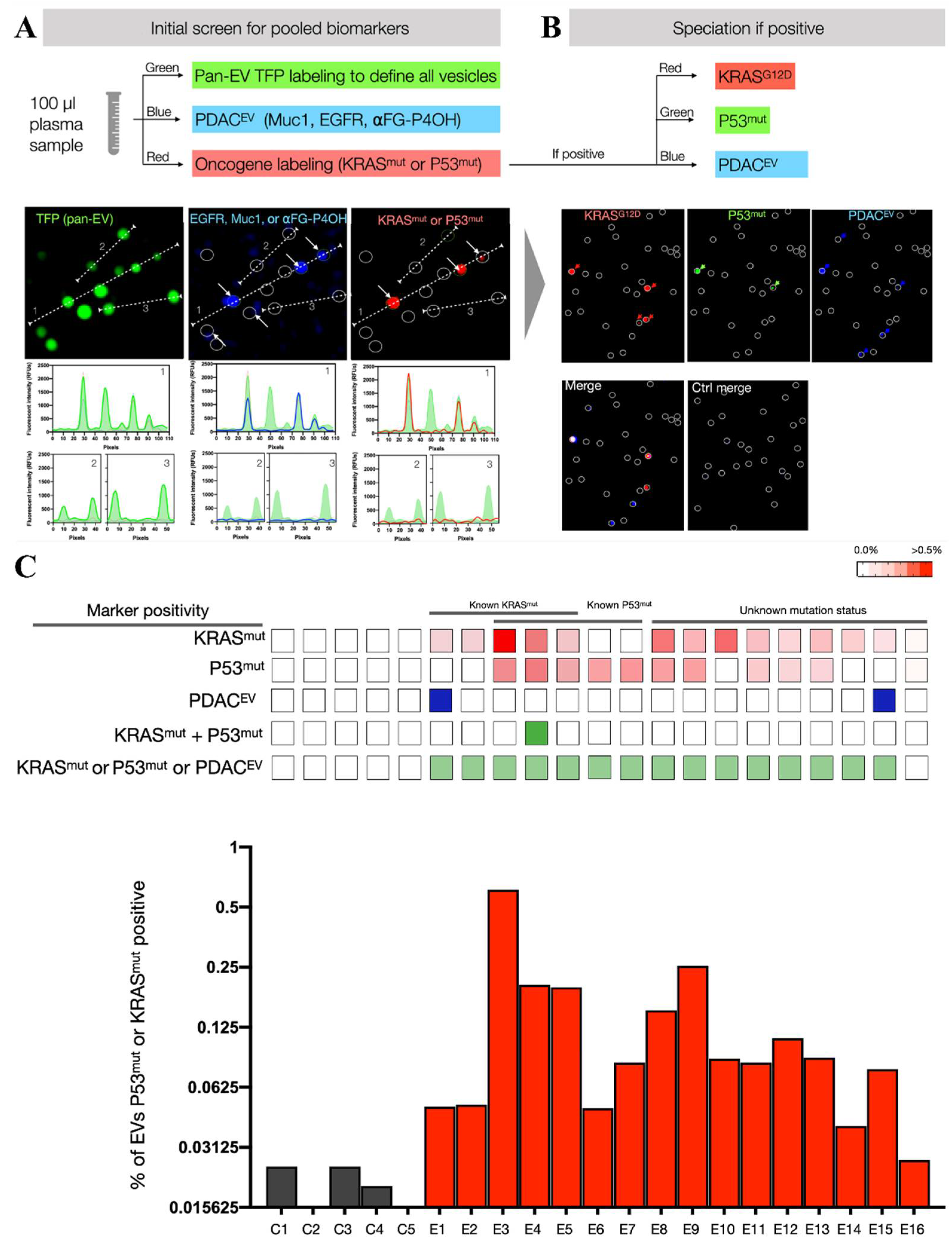 Biosensors 13 00129 g011 Biosensors 13 00129 g011