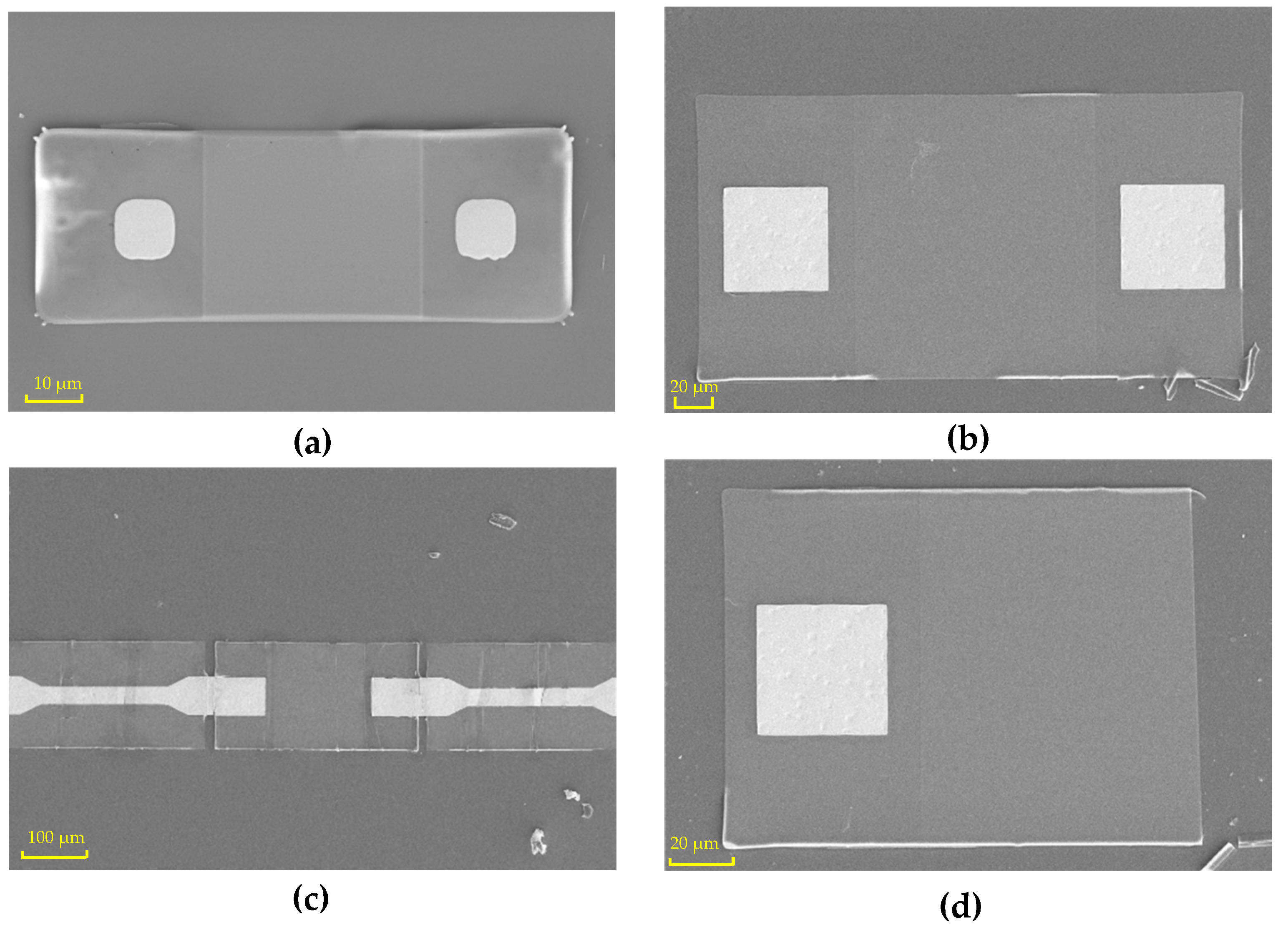 Biosensors 13 00131 g004