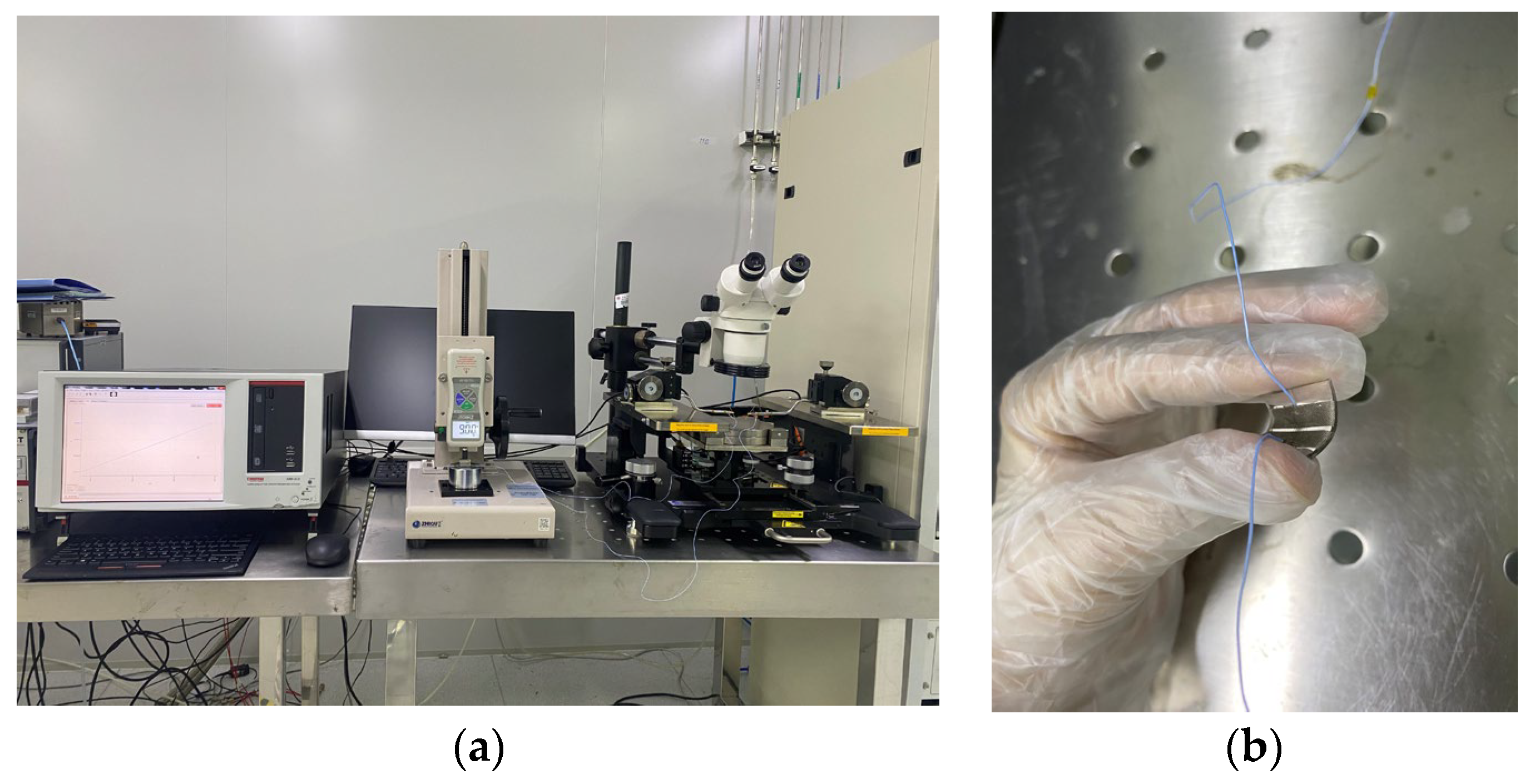 Biosensors 13 00131 g005