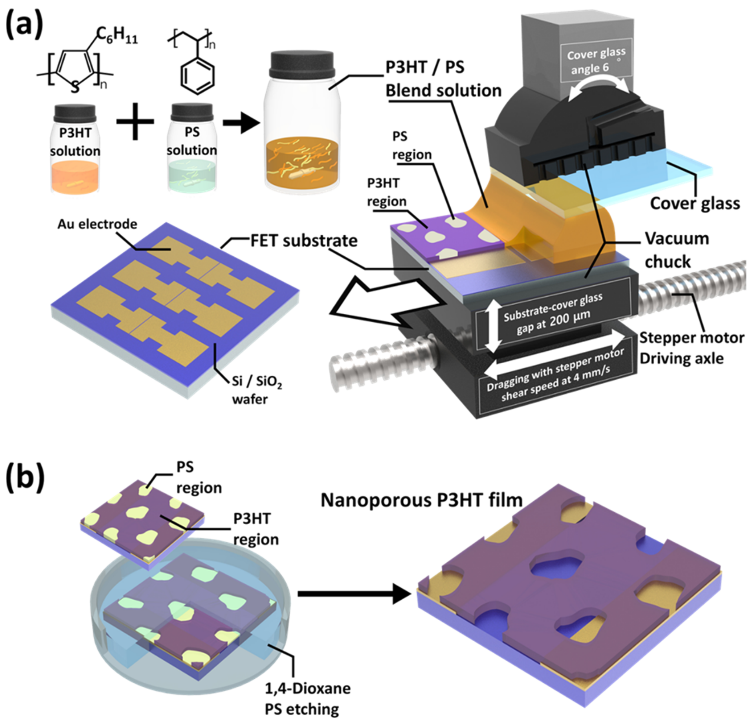 Biosensors 13 00132 g001 Biosensors 13 00132 g001