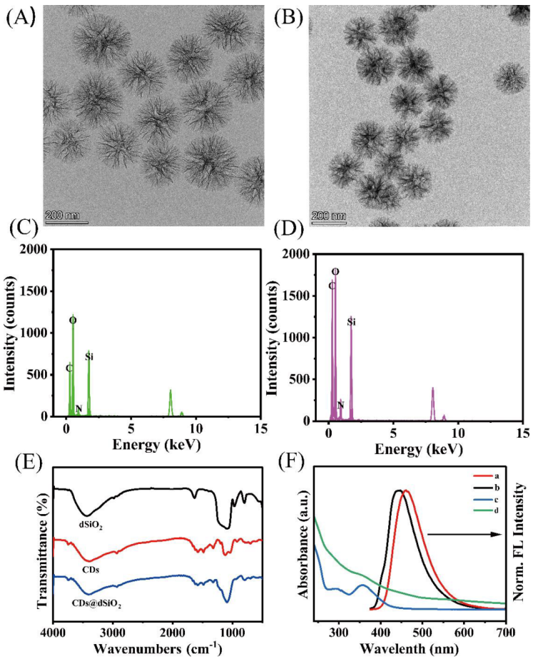 Biosensors 13 00133 g002