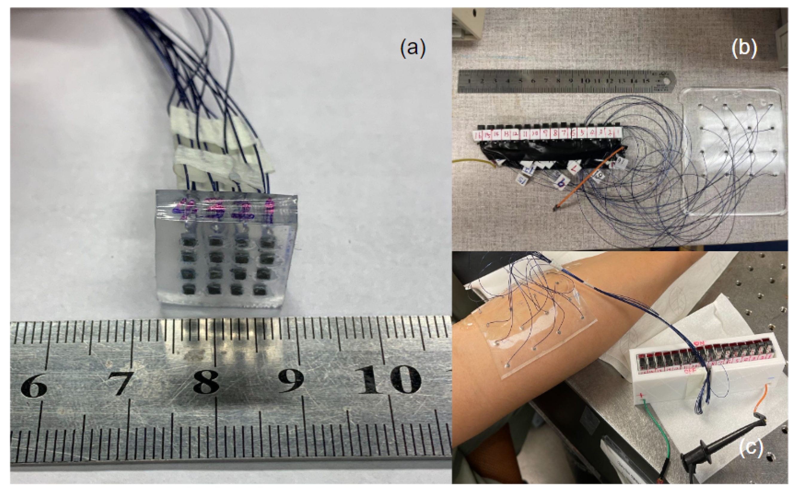 Biosensors 13 00134 g003 Biosensors 13 00134 g003