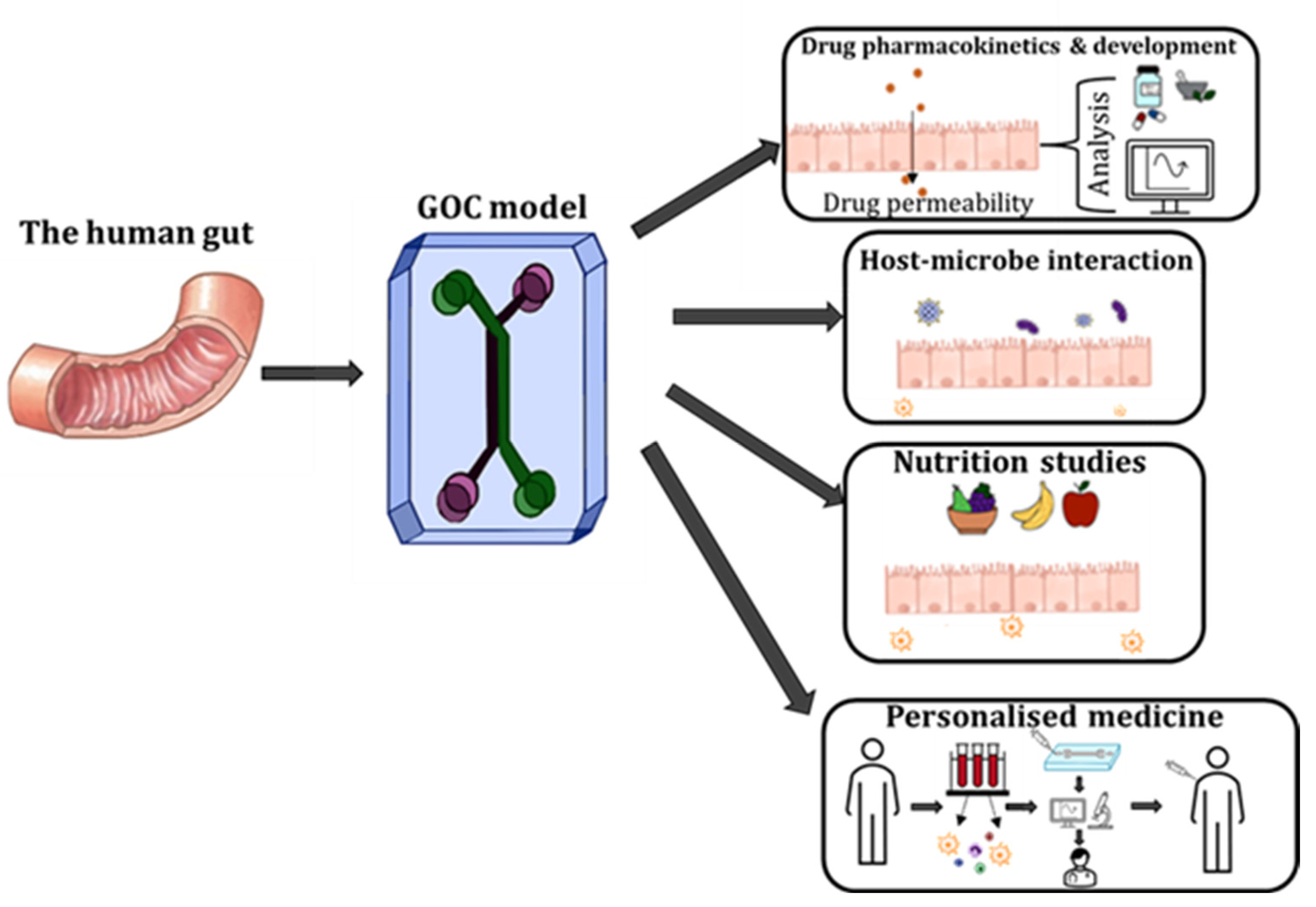 Biosensors 13 00136 g006 Biosensors 13 00136 g006