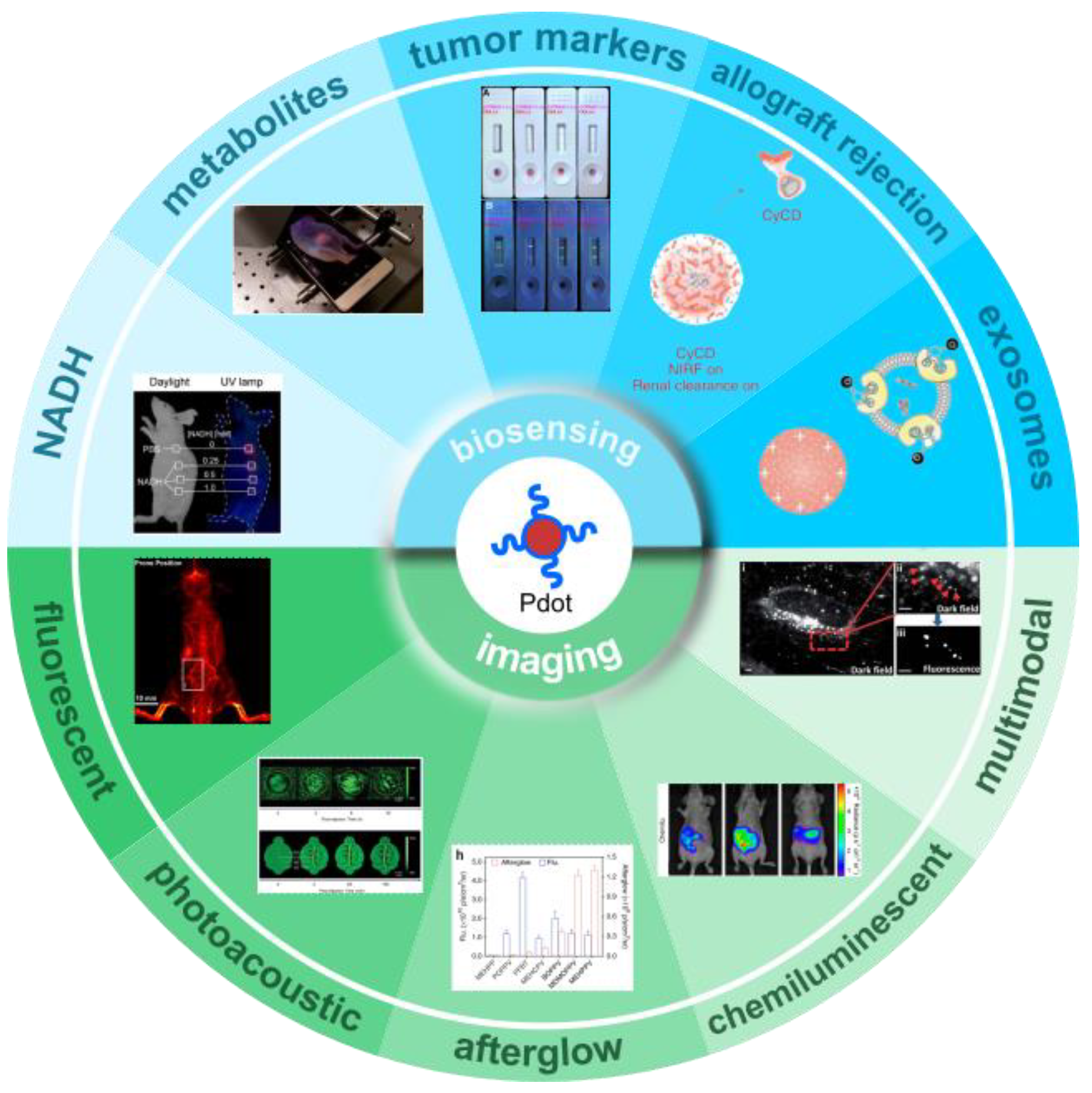 Biosensors 13 00137 g001 Biosensors 13 00137 g001