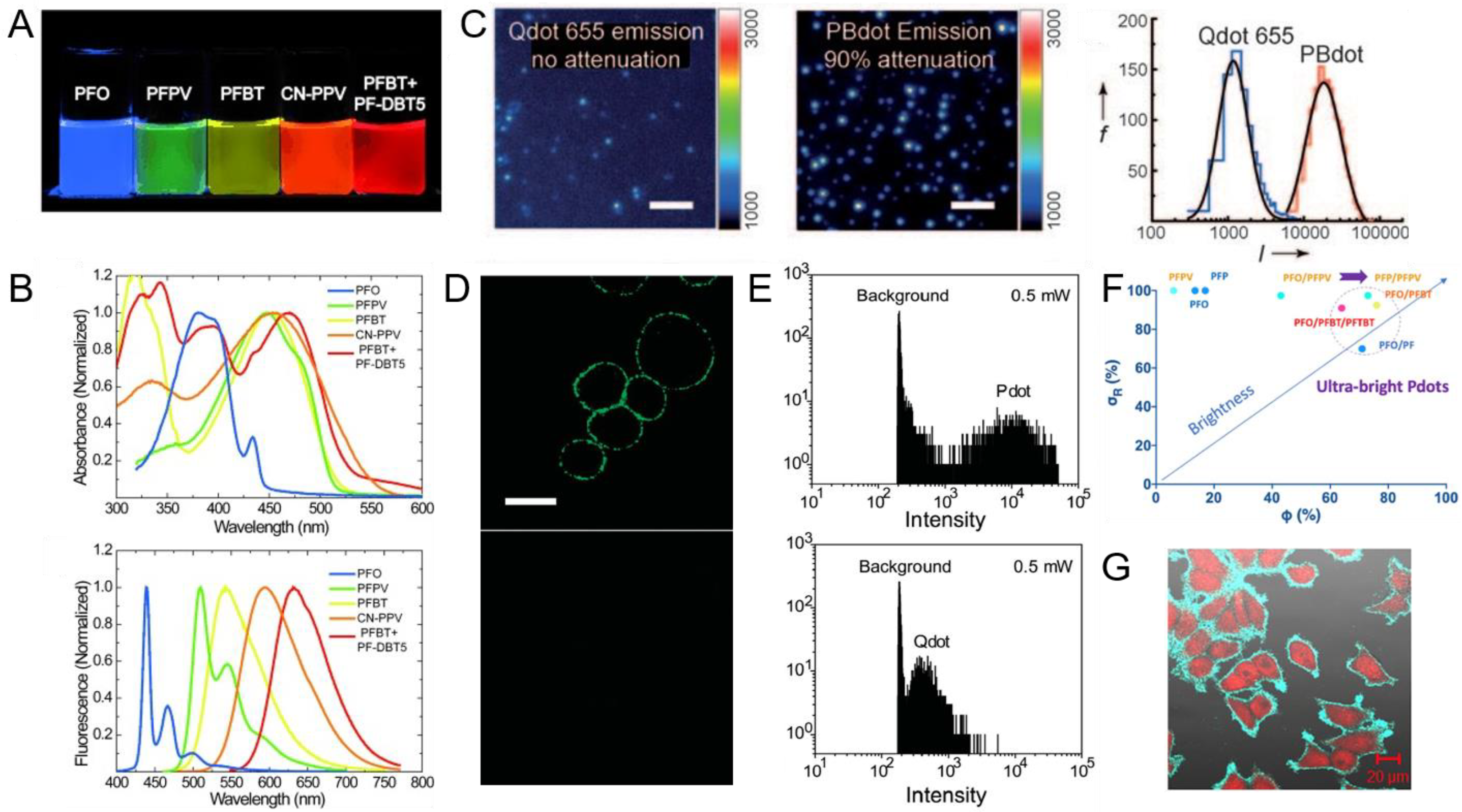 Biosensors 13 00137 g003 Biosensors 13 00137 g003