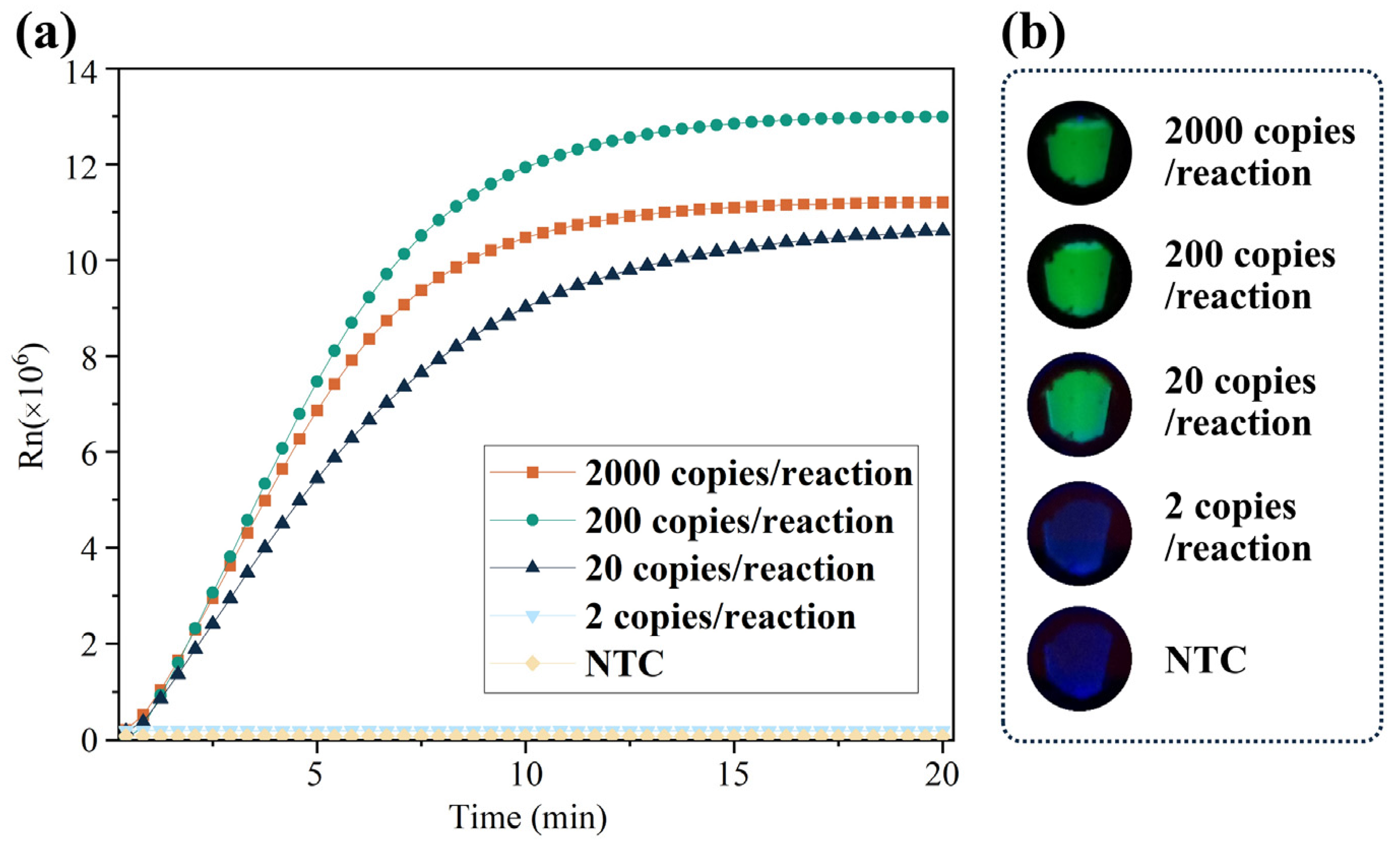Biosensors 13 00138 g003 Biosensors 13 00138 g003