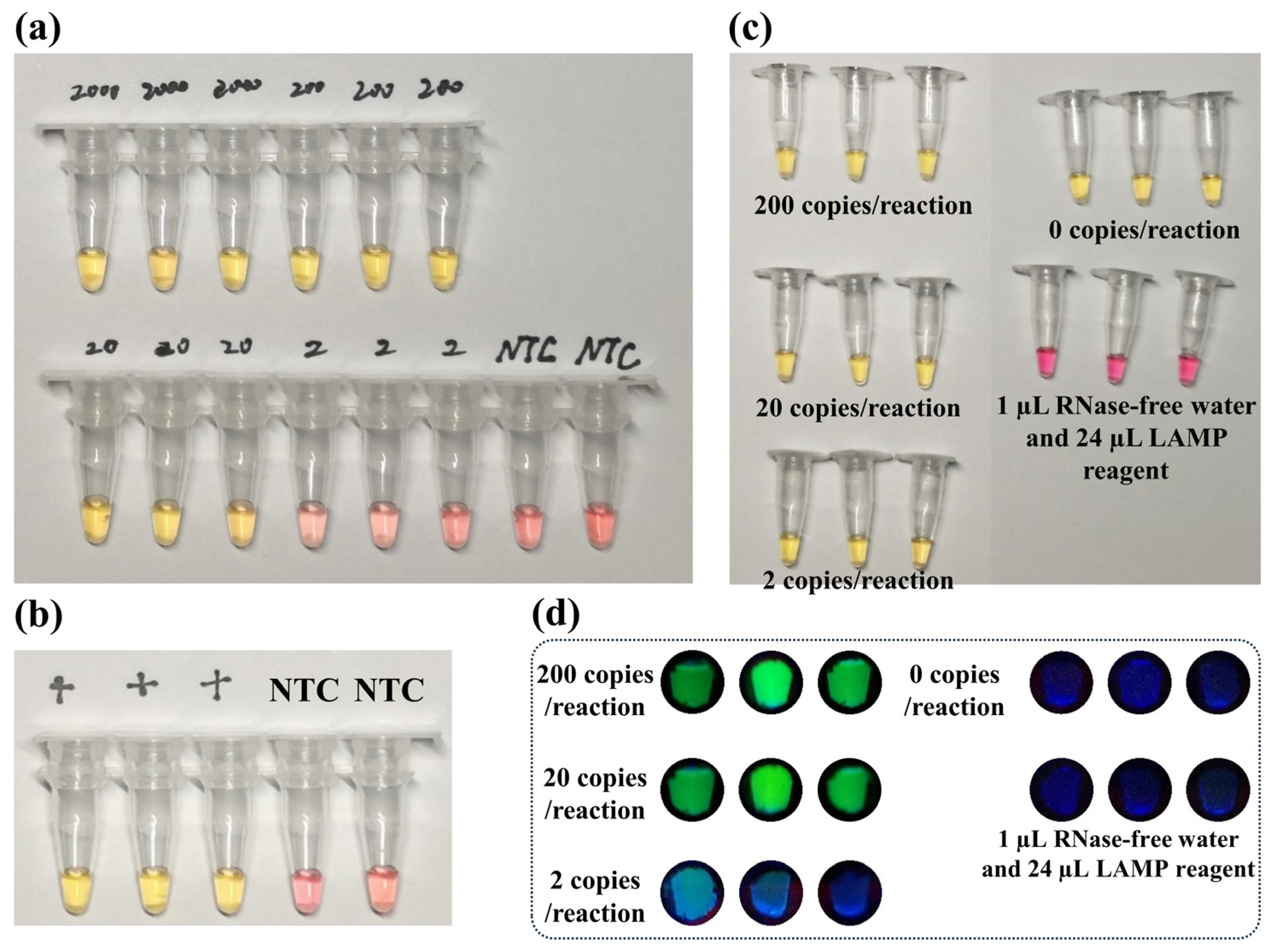 Biosensors 13 00138 g004 Biosensors 13 00138 g004