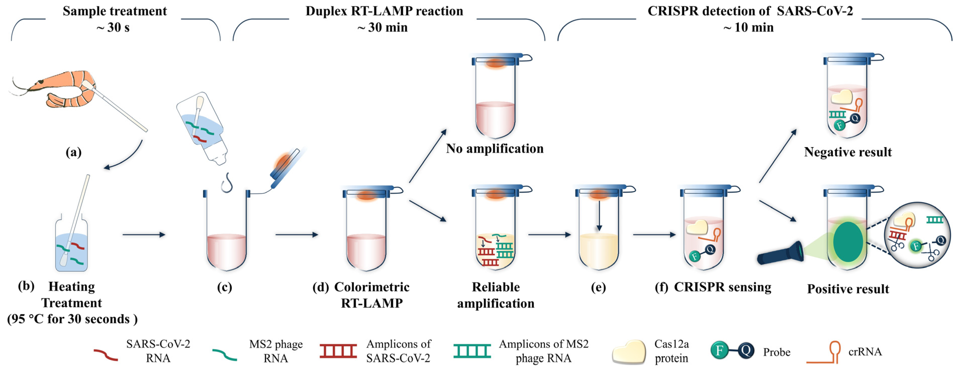 Biosensors 13 00138 g005 Biosensors 13 00138 g005