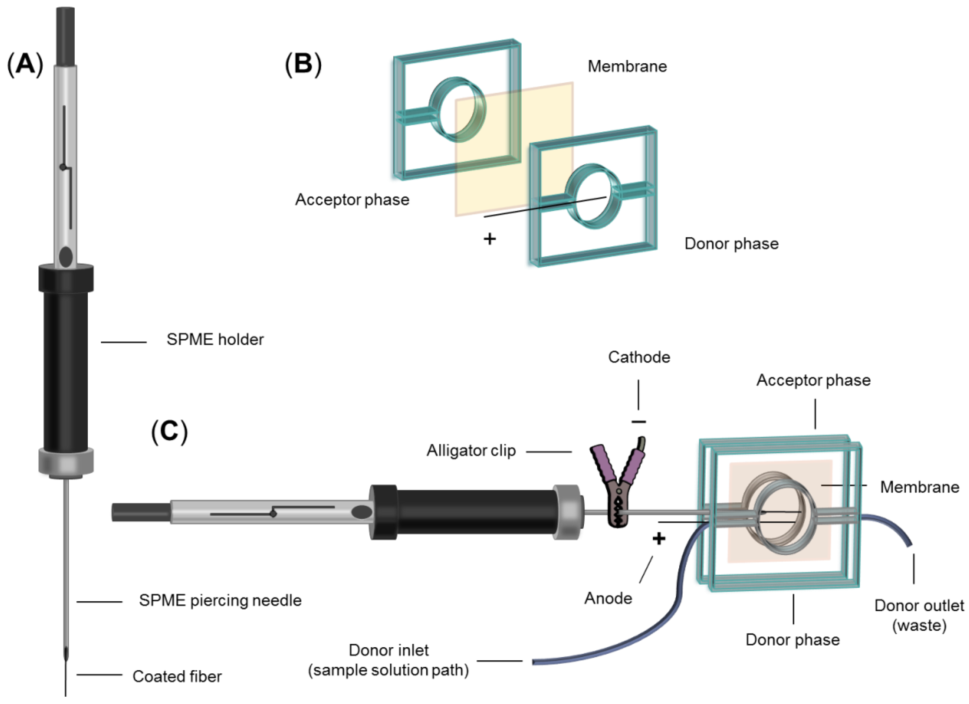 Biosensors 13 00139 g002 Biosensors 13 00139 g002