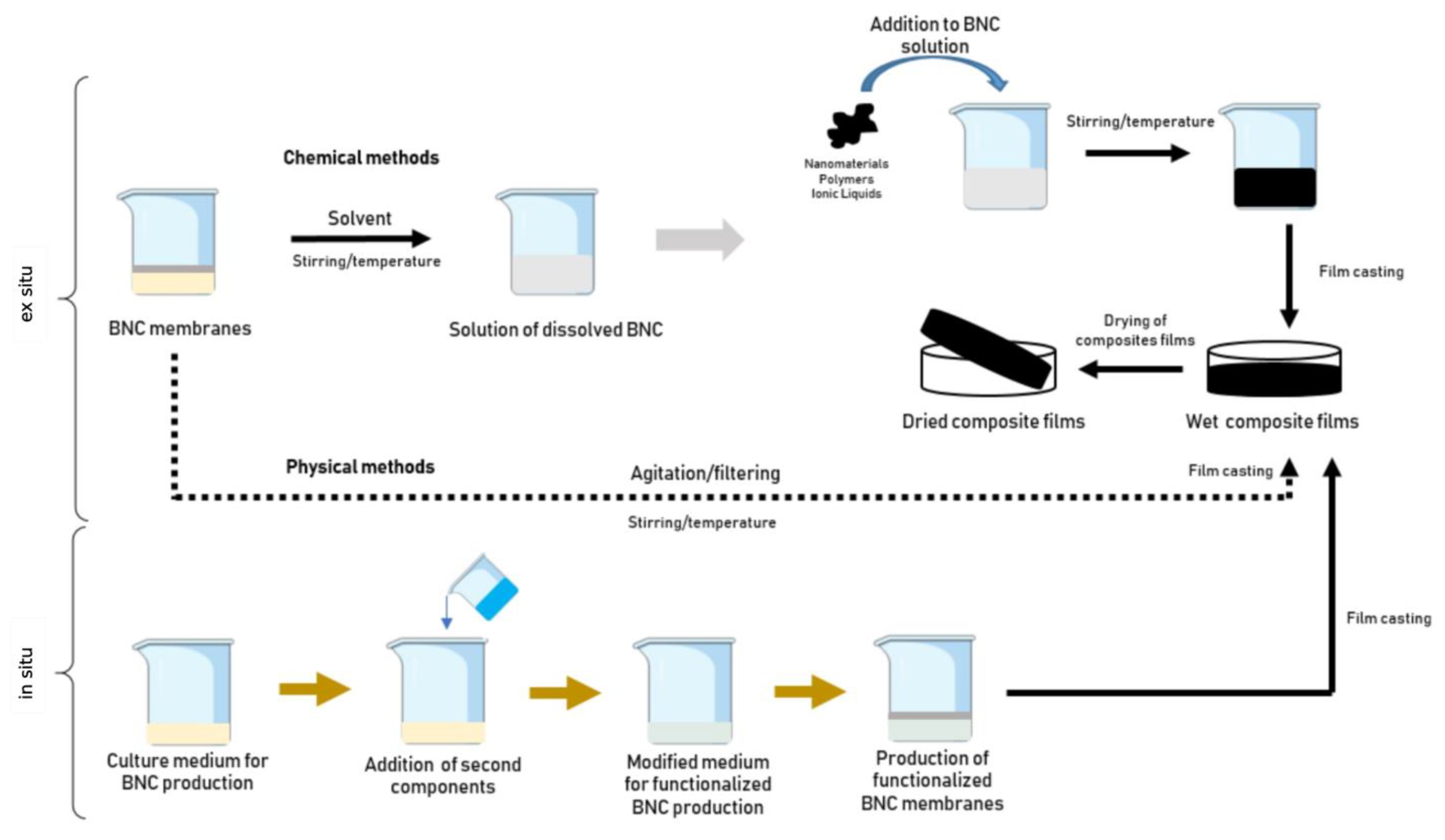 Biosensors 13 00142 g003