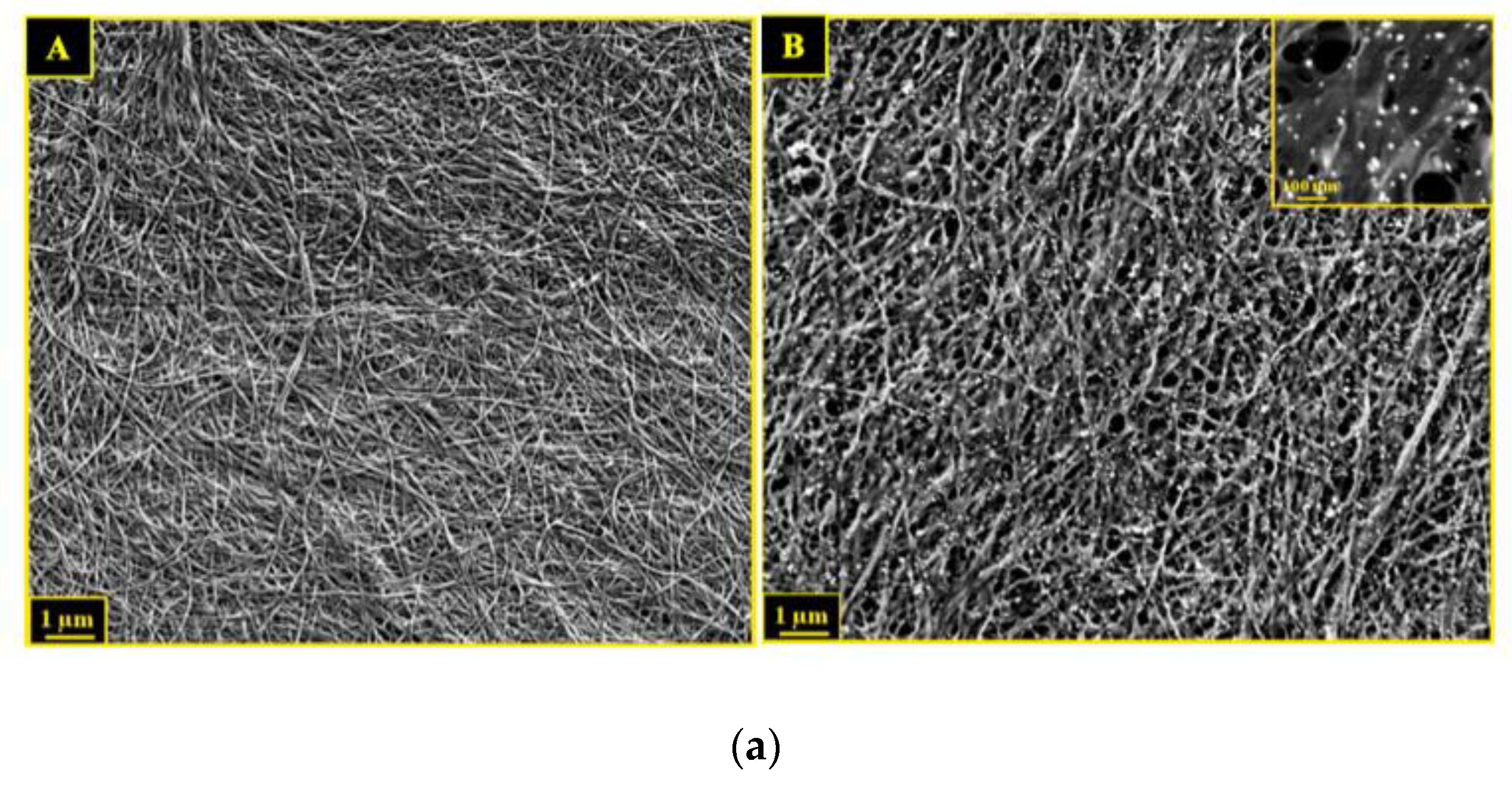 Biosensors 13 00142 g004a
