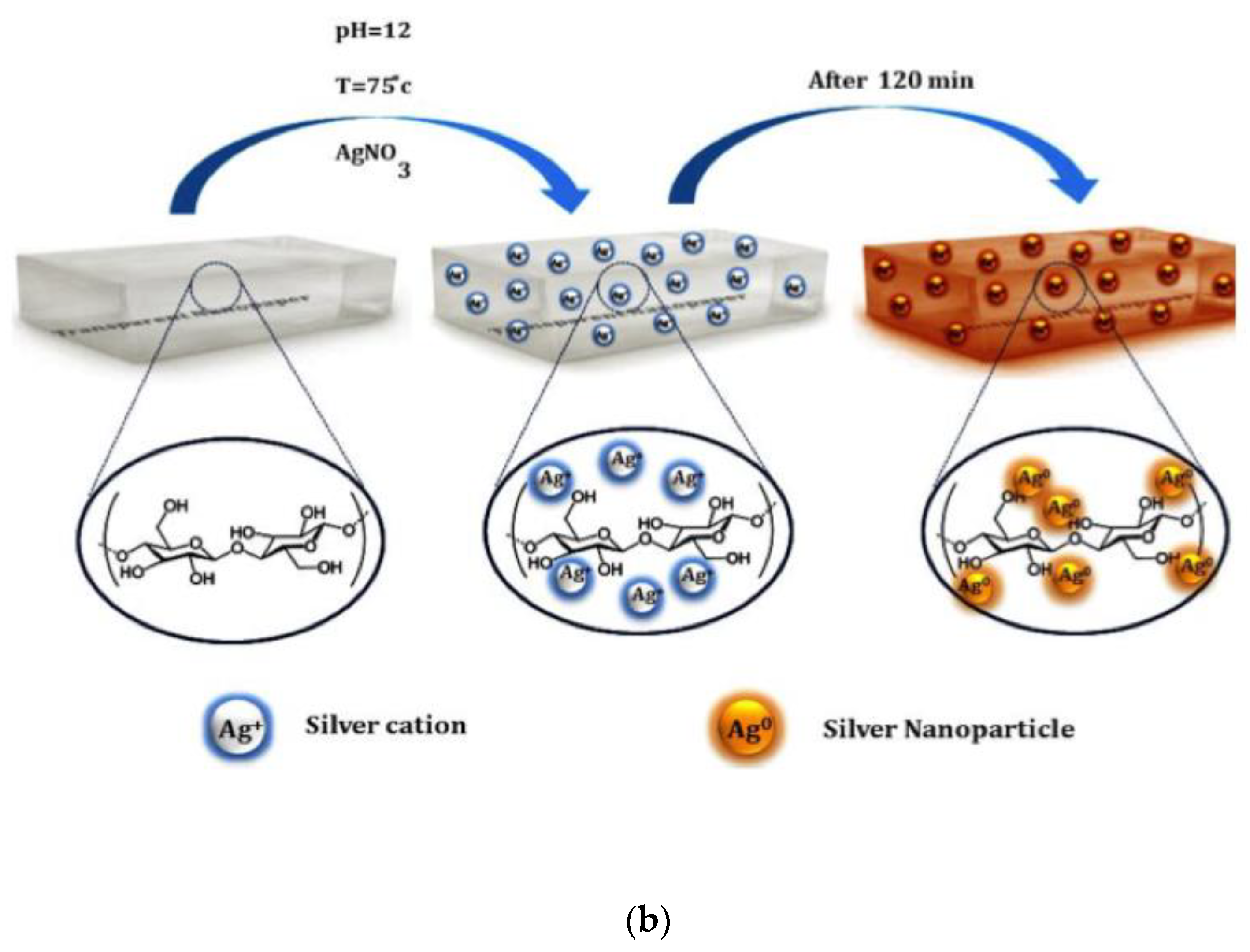 Biosensors 13 00142 g004b