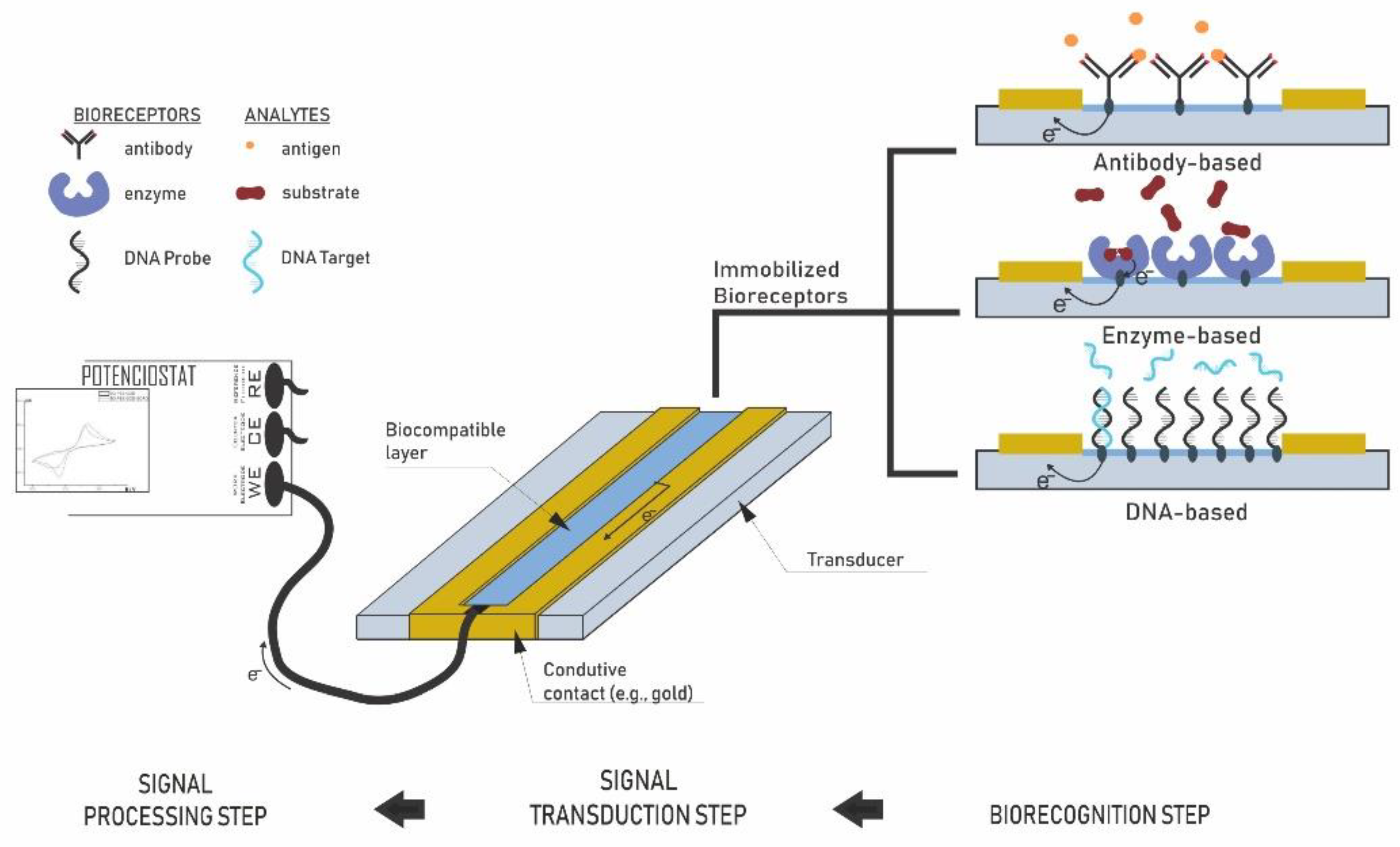 Biosensors 13 00142 g006