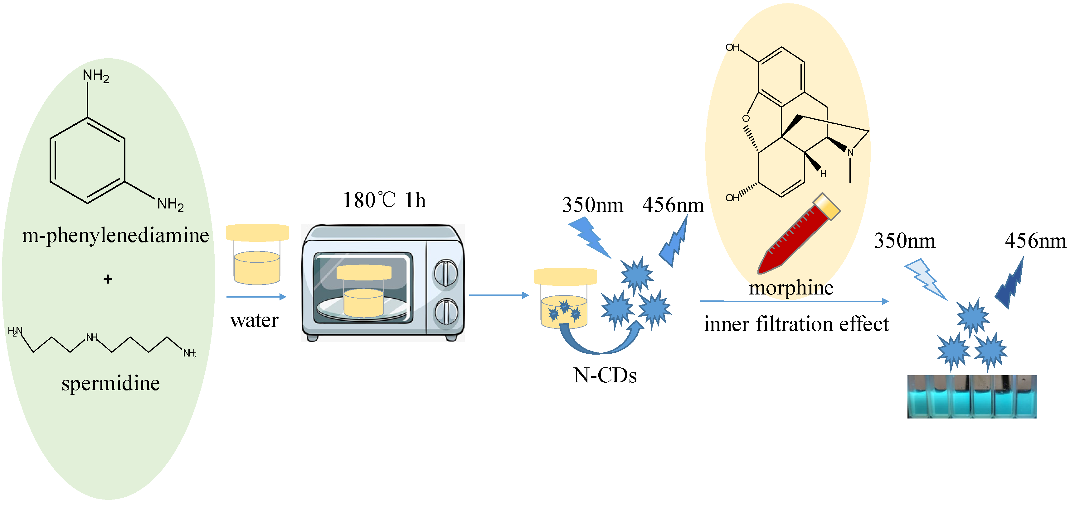 Biosensors 13 00143 g001