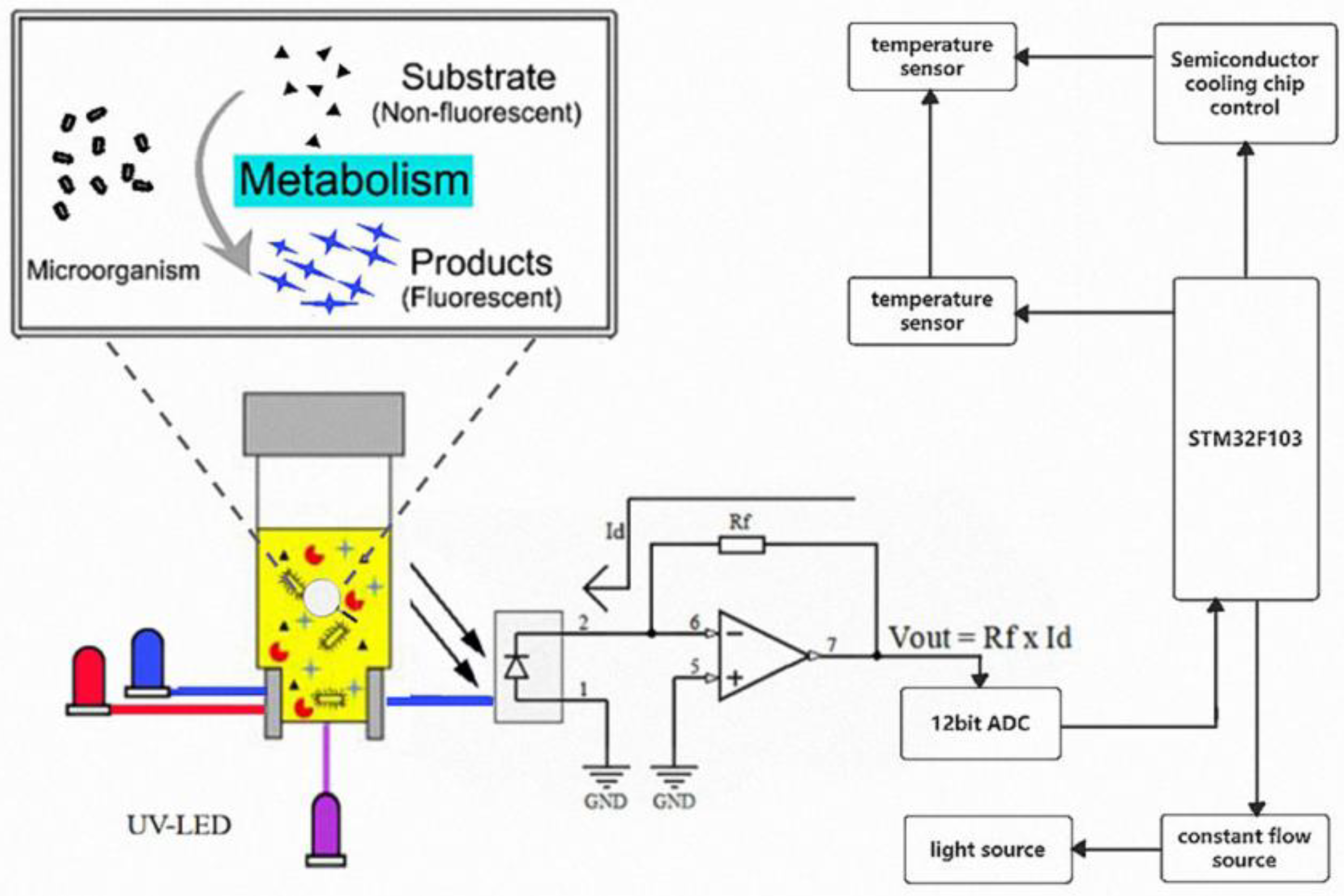 Biosensors 13 00150 g001 Biosensors 13 00150 g001