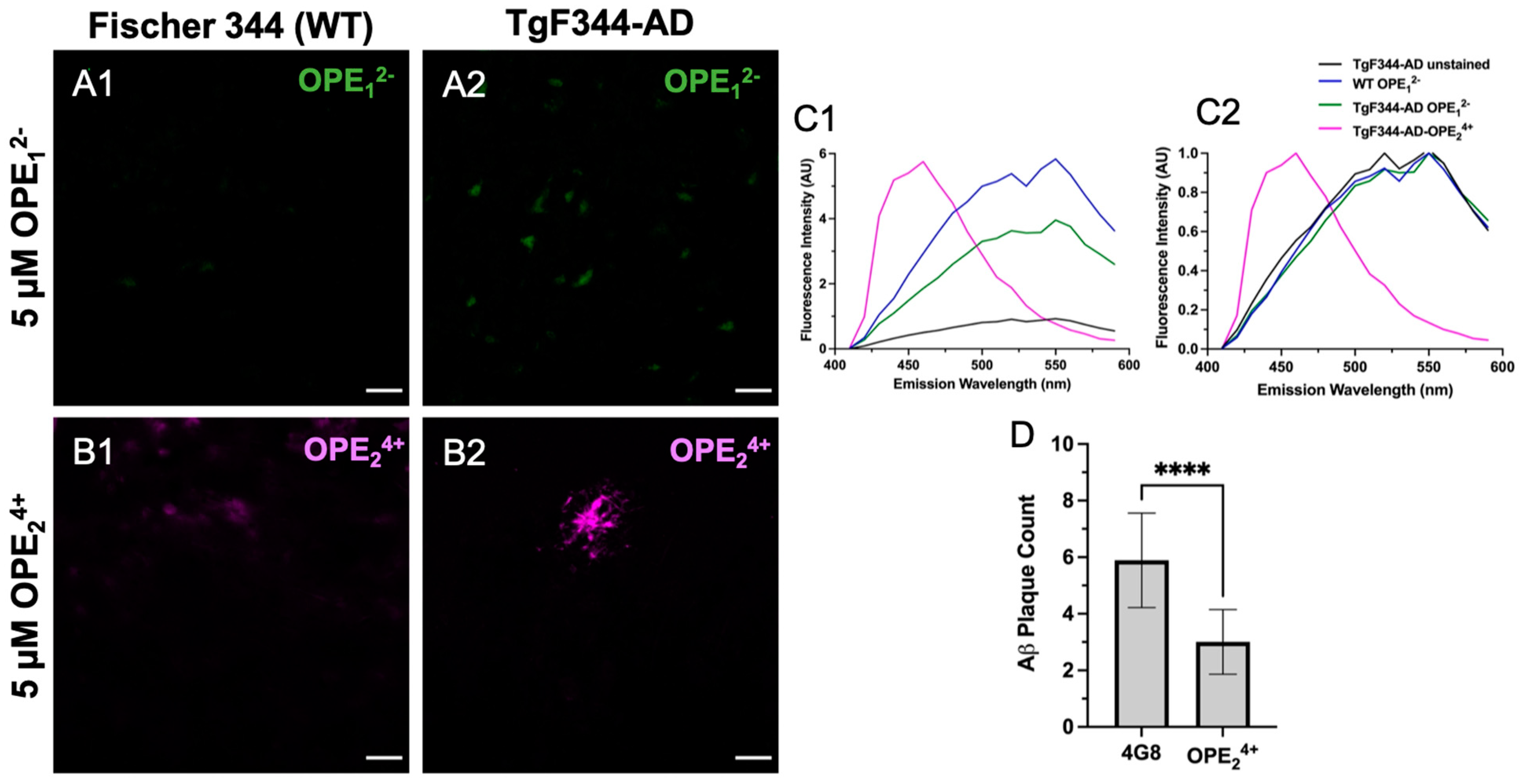 Biosensors 13 00151 g007