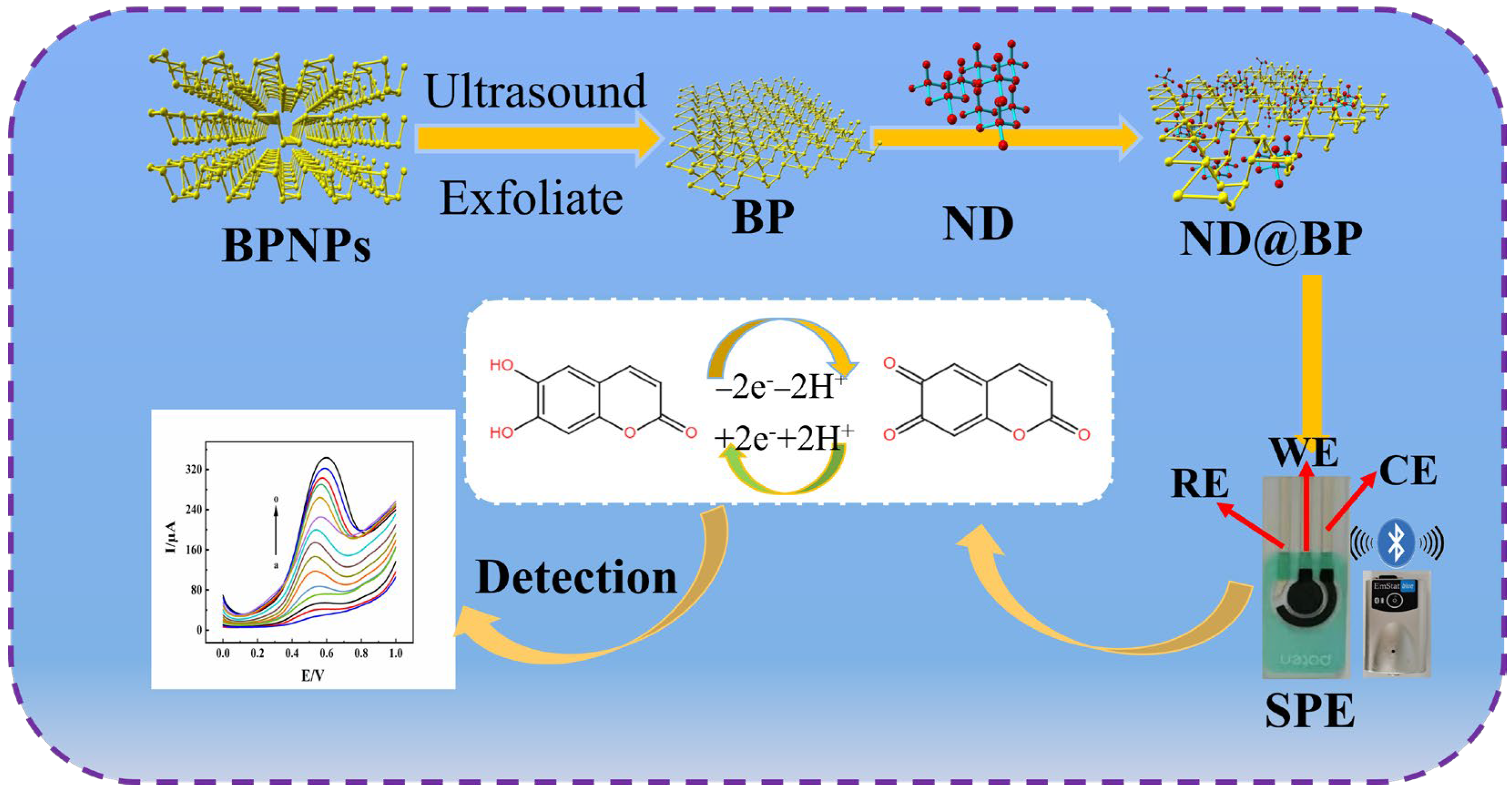 Biosensors 13 00153 sch001 Biosensors 13 00153 sch001