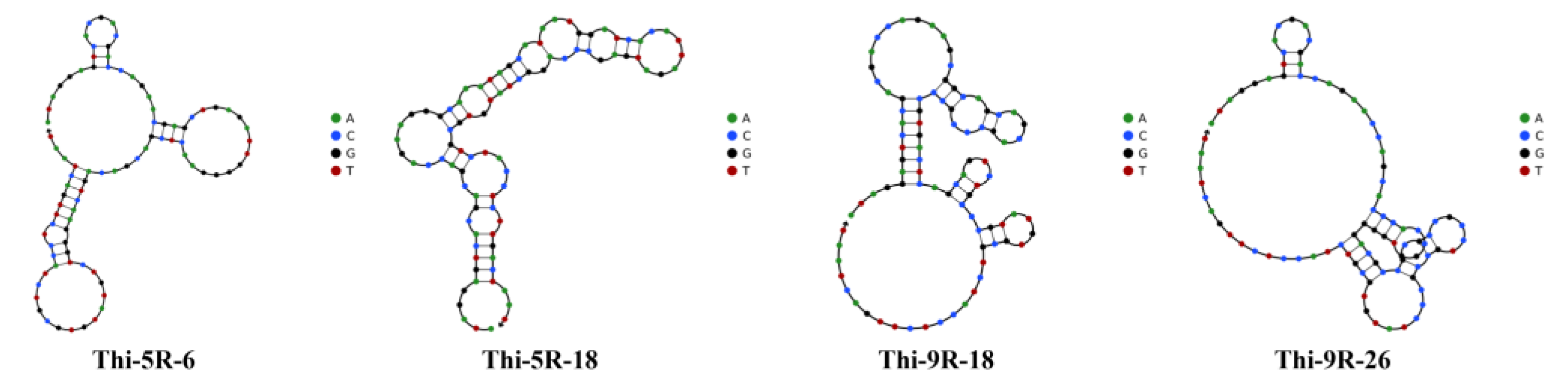 Biosensors 13 00155 g004 Biosensors 13 00155 g004