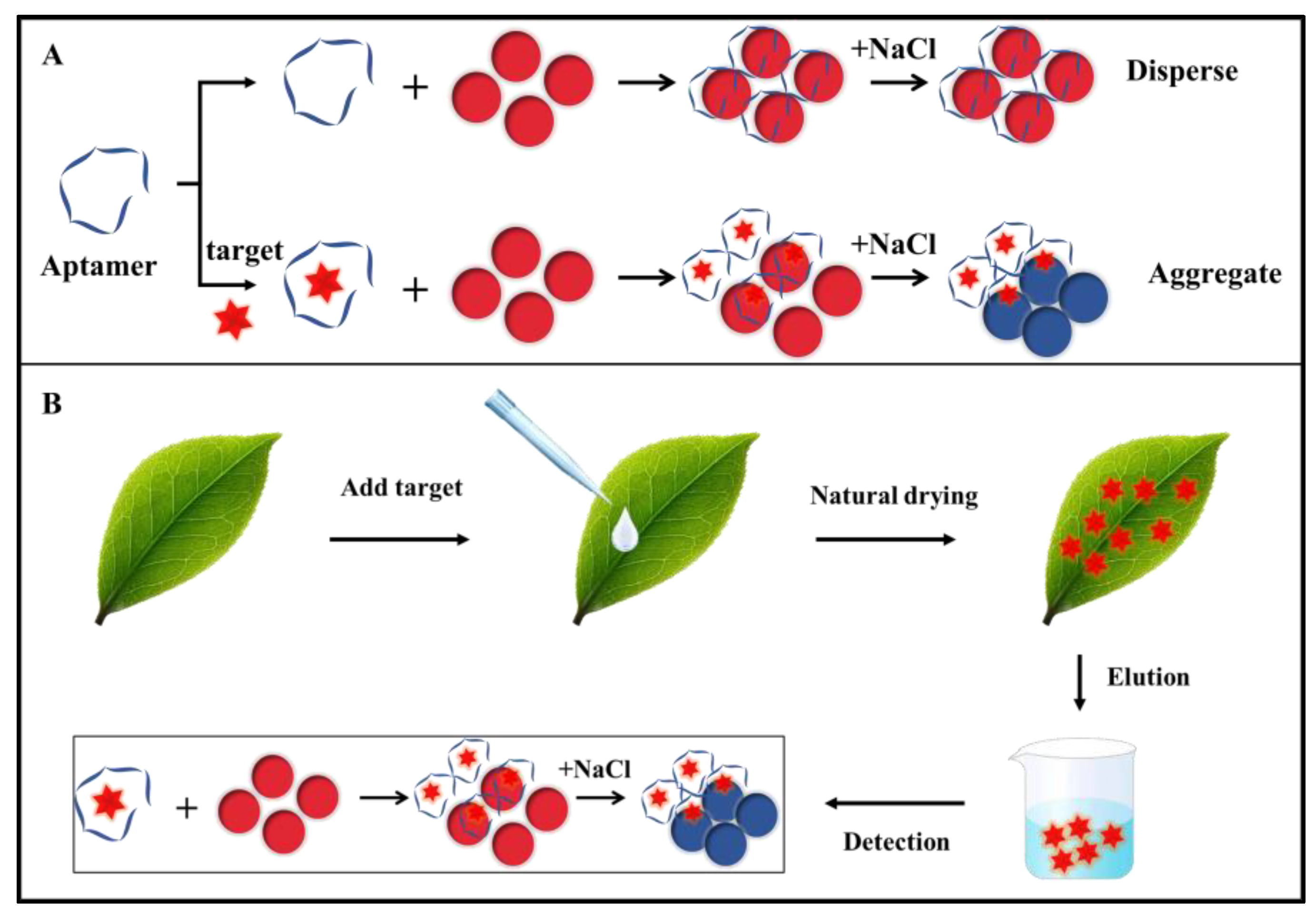 Biosensors 13 00155 g006 Biosensors 13 00155 g006
